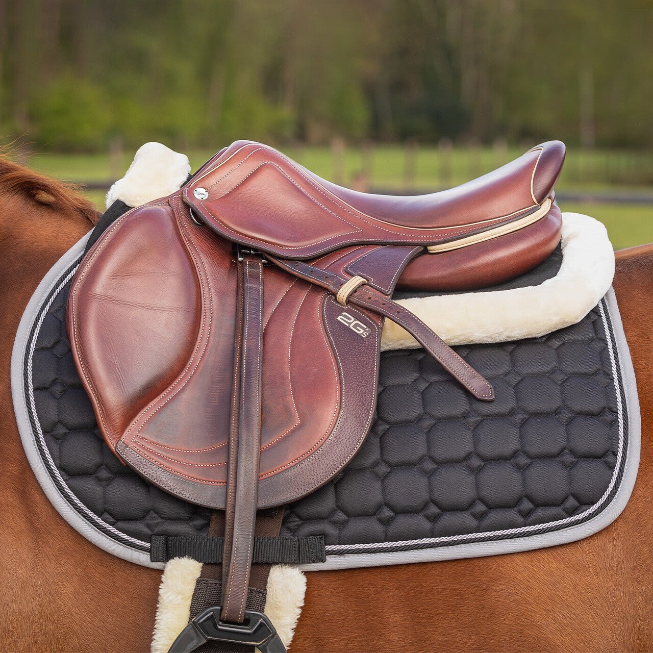 Ontario Memory Foam Half Pad - Nags Essentials