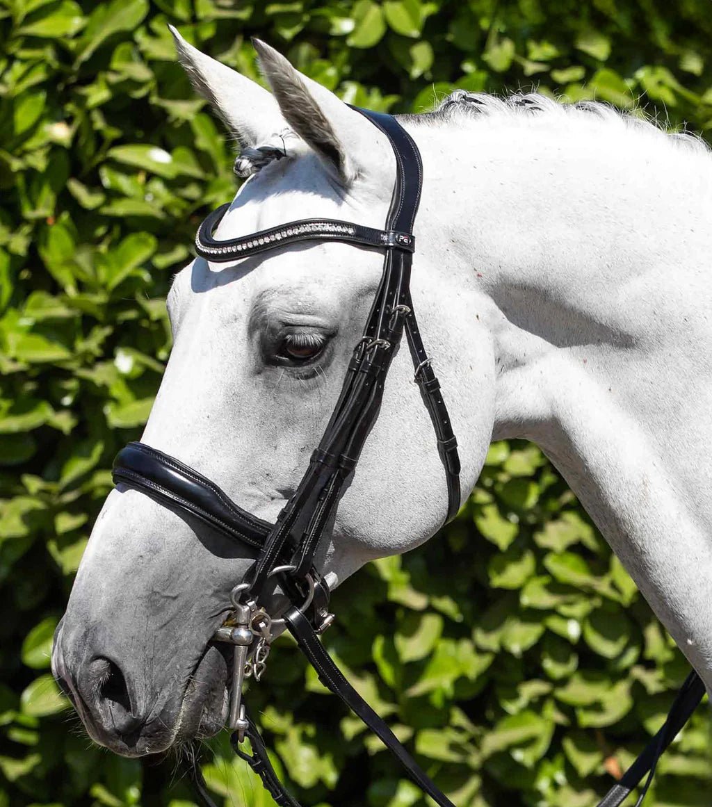 Premier Equine Abriano Anatomic Double Bridle Black - Nags Essentials