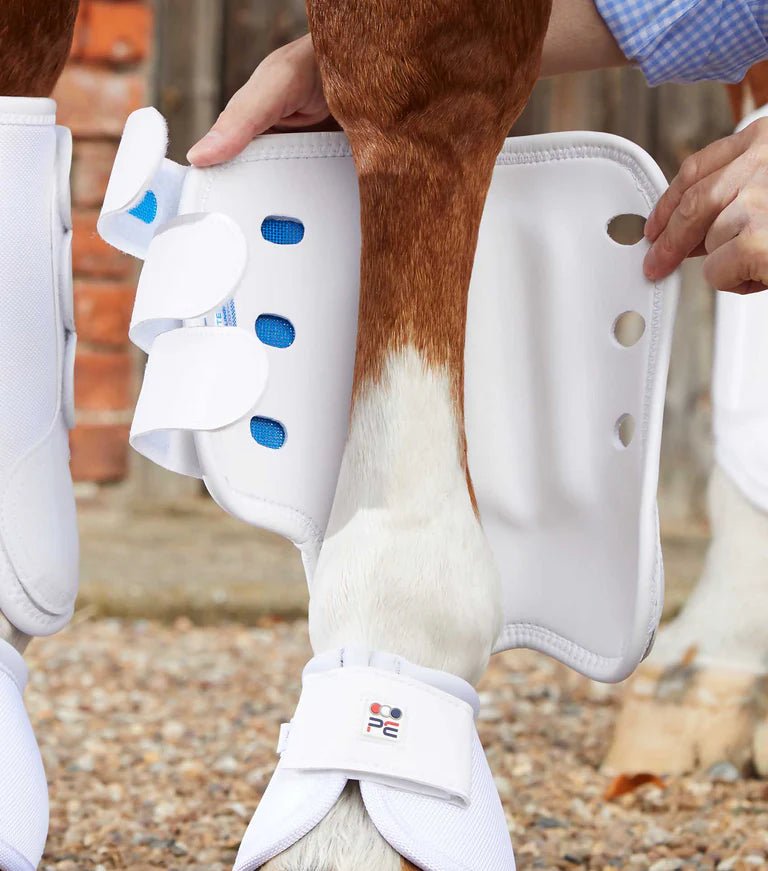 Premier Equine Air Cooled Original Eventing Boots - Hind - Nags Essentials