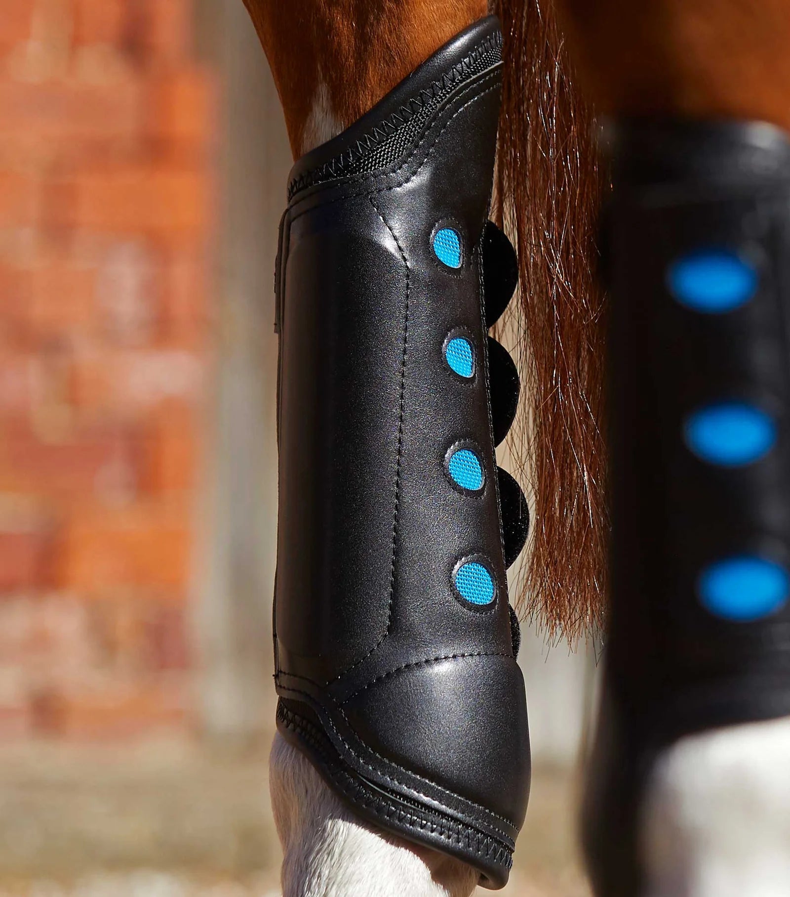 Premier Equine Air Cooled Super Lite Carbon Tech Eventing/Racing Boots - Hind - Nags Essentials