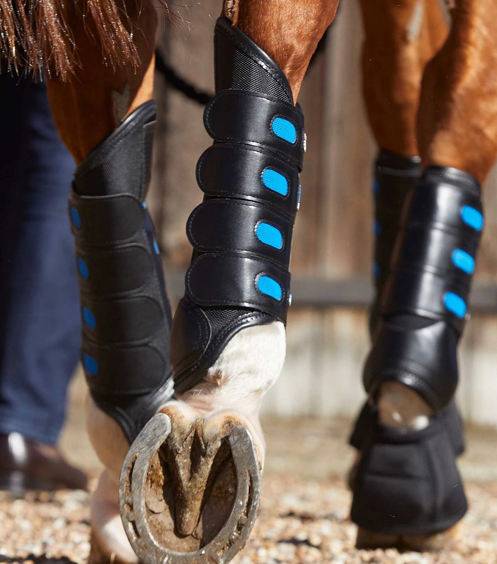 Premier Equine Air Cooled Super Lite Carbon Tech Eventing/Racing Boots - Hind - Nags Essentials