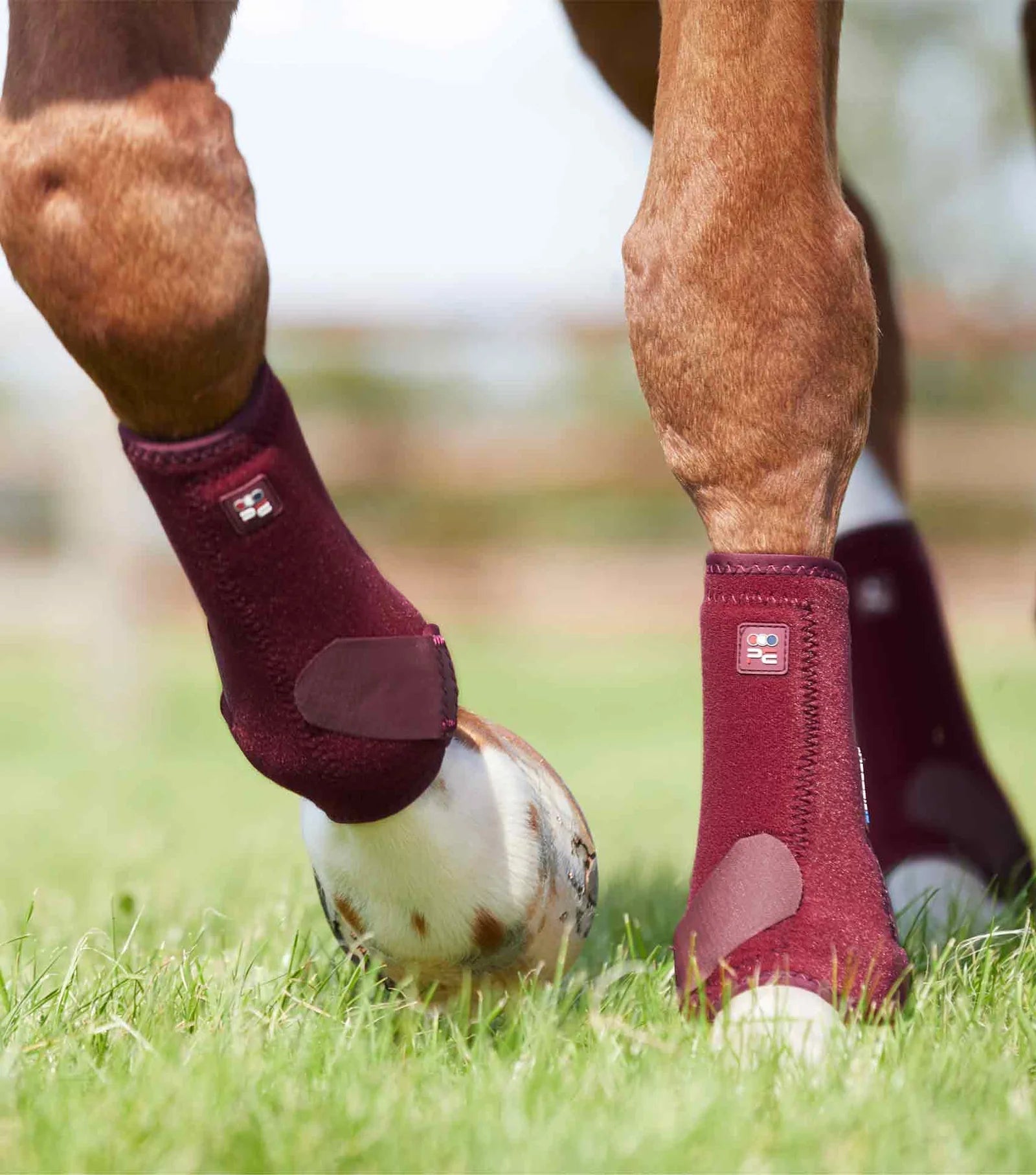 Premier Equine Air-Tech Sports Medicine Boots - Nags Essentials