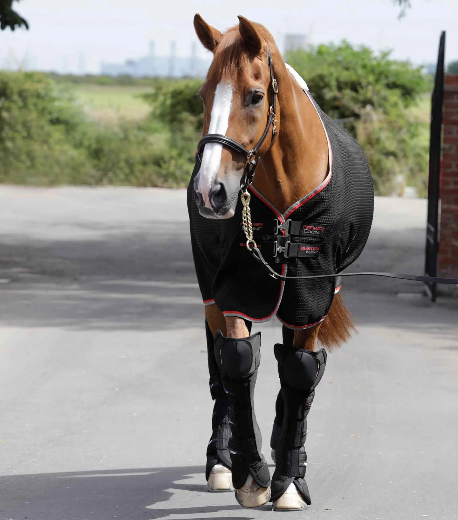 Premier Equine Airtechnology Knee Pro-Tech Horse Travel Boots - Nags Essentials