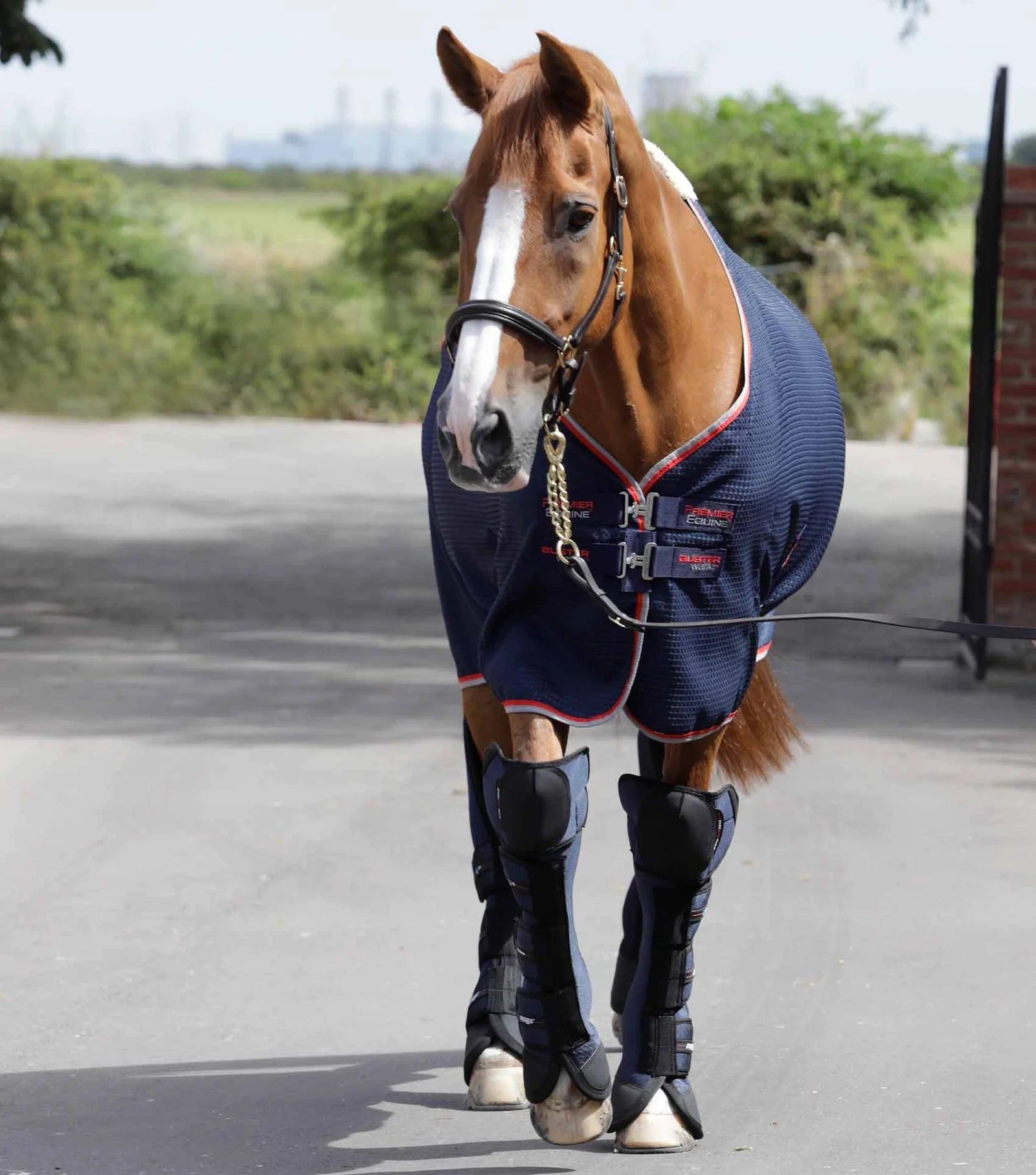 Premier Equine Airtechnology Knee Pro-Tech Horse Travel Boots - Nags Essentials