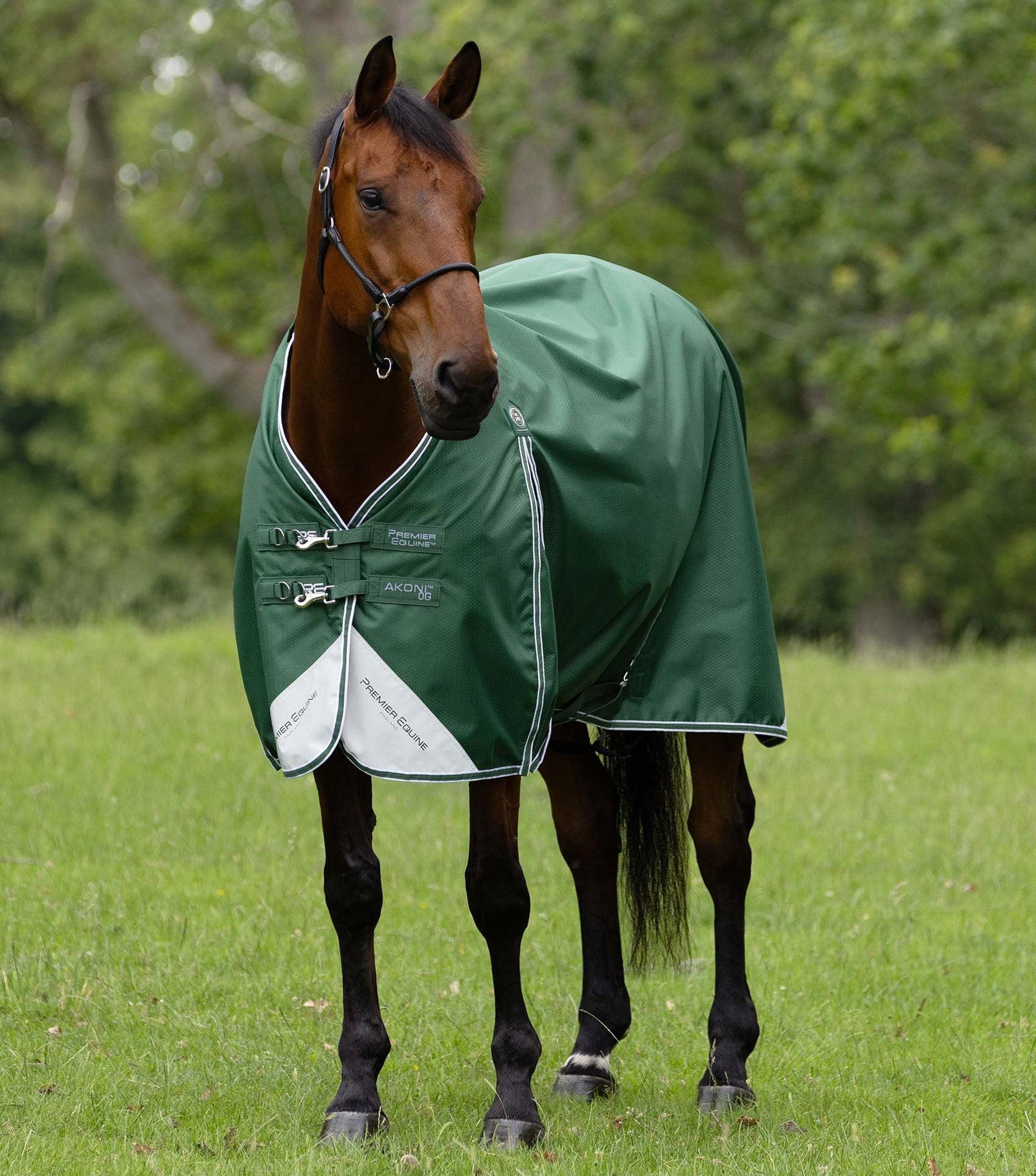 Premier Equine Akoni 0g Turnout Rug - Nags Essentials