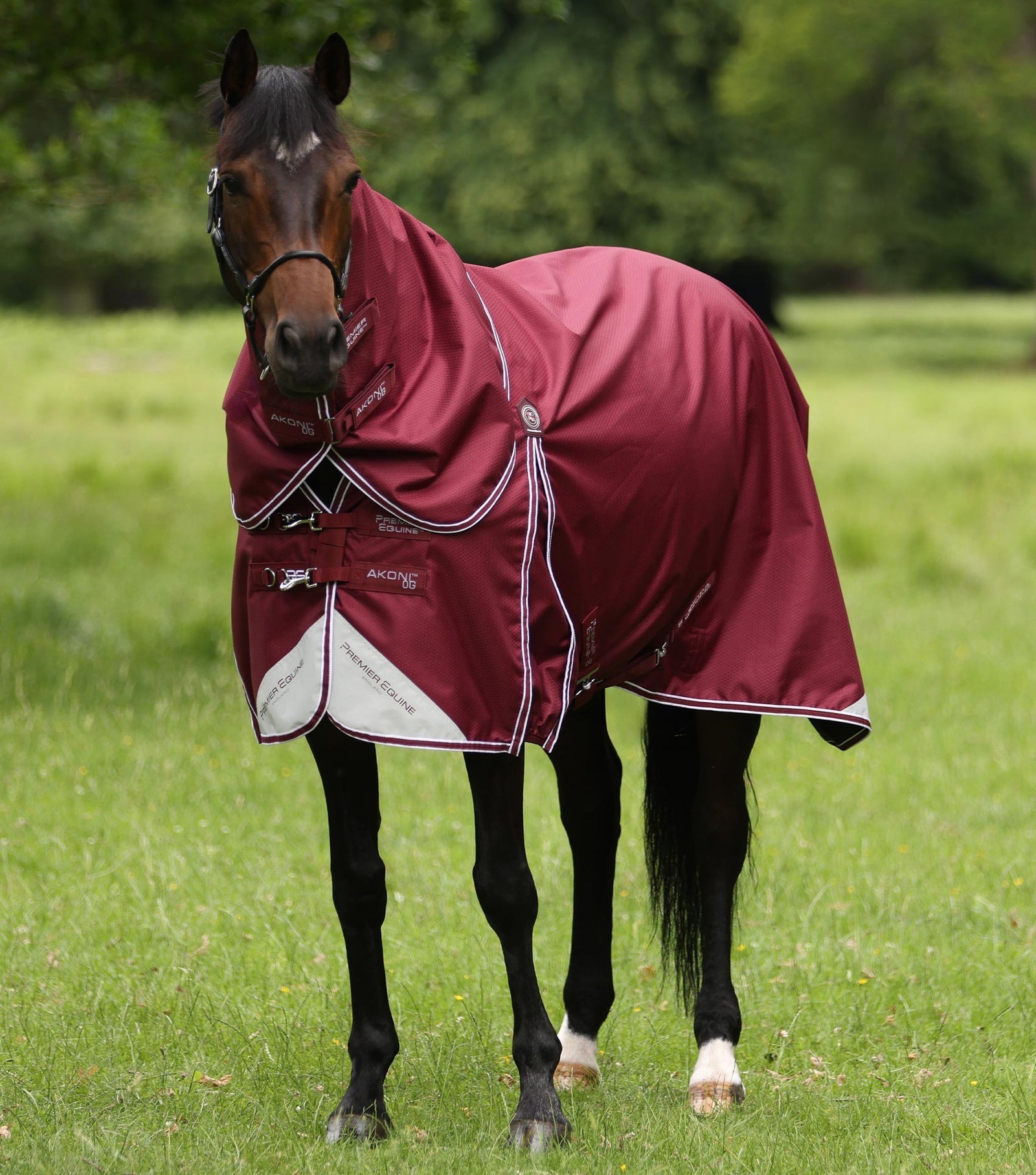 Premier Equine Akoni 0g Turnout Rug with Classic Neck Cover - Nags Essentials