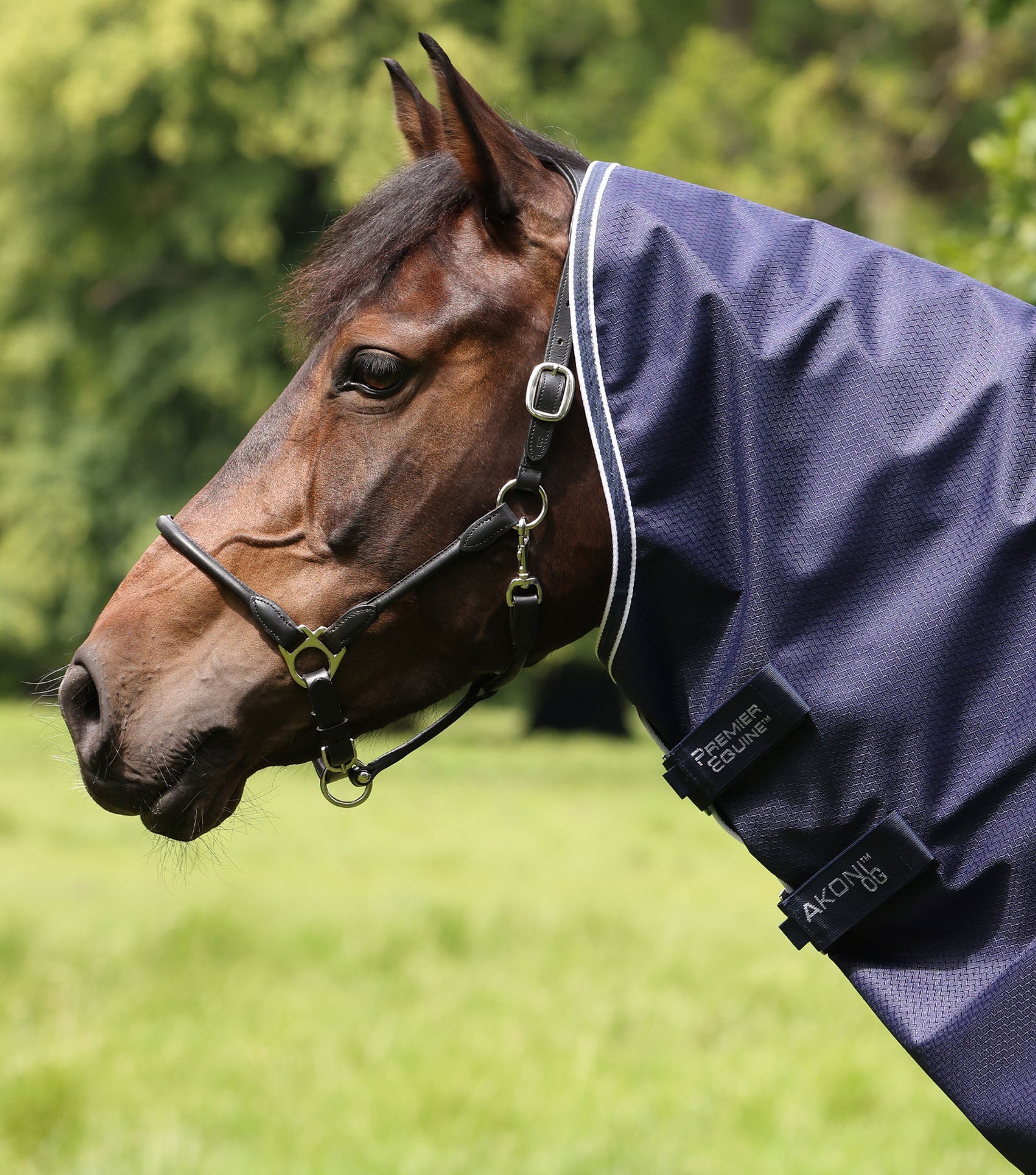Premier Equine Akoni 0g Turnout Rug with Classic Neck Cover - Nags Essentials