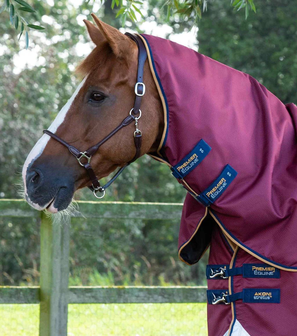 Premier Equine Akoni 0g Turnout Rug with Classic Neck Cover - Nags Essentials