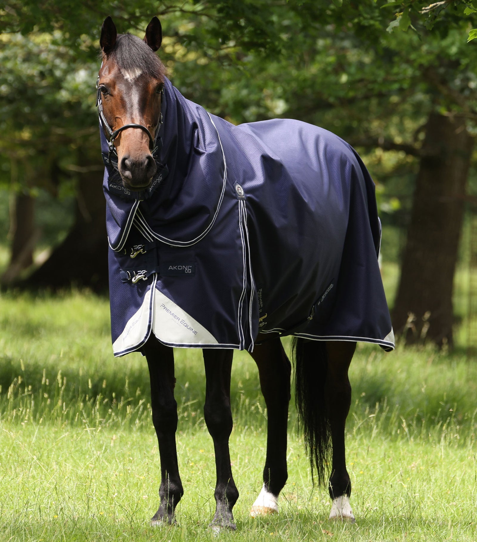 Premier Equine Akoni 0g Turnout Rug with Classic Neck Cover - Nags Essentials