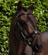 Premier Equine Artana Snaffle Bridle - Nags Essentials
