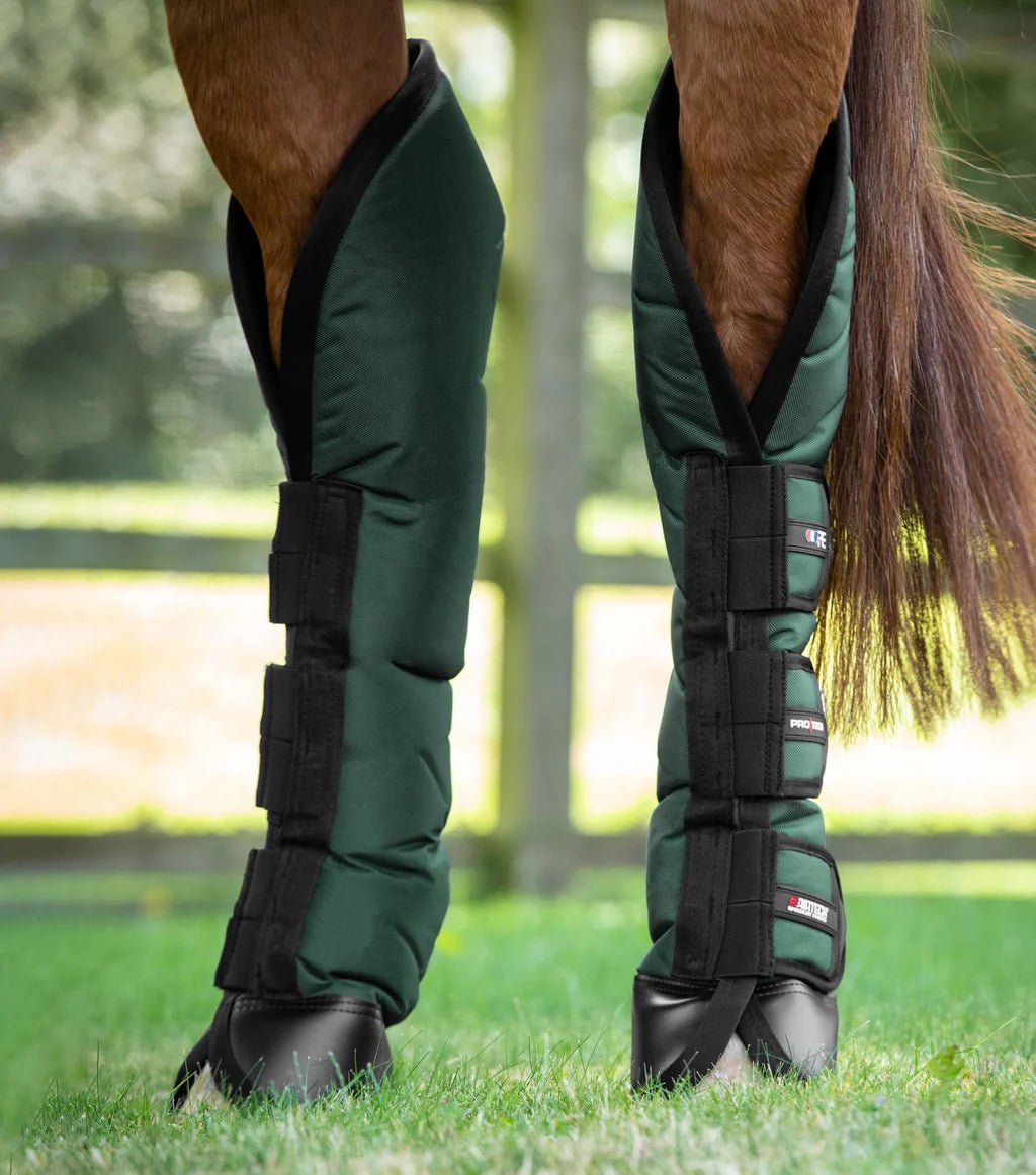 Premier Equine Ballistic Knee Pro-Tech Horse Travel Boots - Nags Essentials