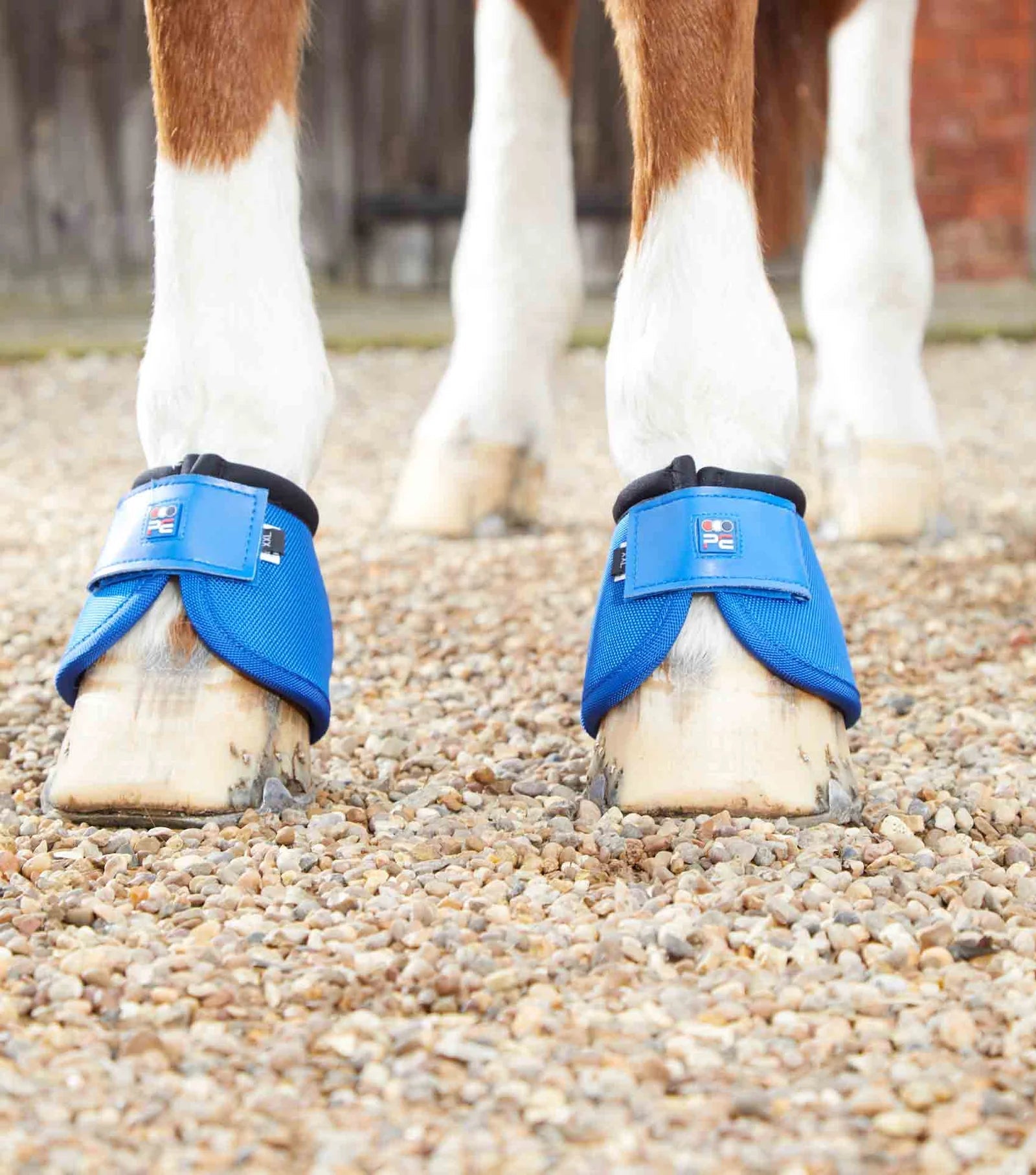 Premier Equine Ballistic No-Turn Over Reach Boots - Nags Essentials