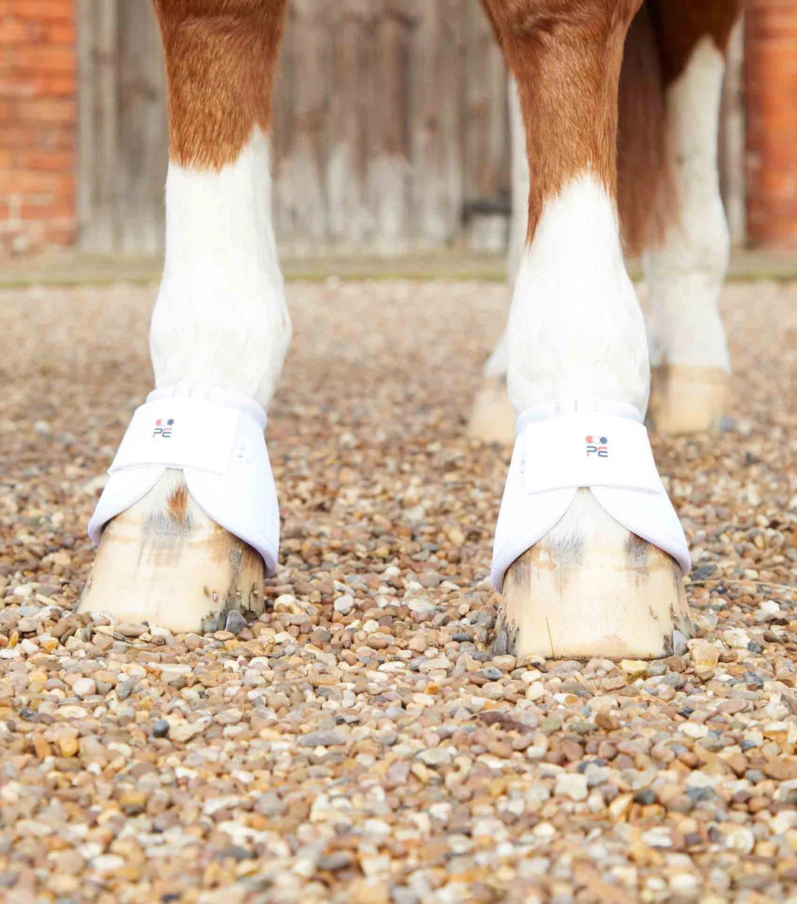 Premier Equine Ballistic No-Turn Over Reach Boots - Nags Essentials