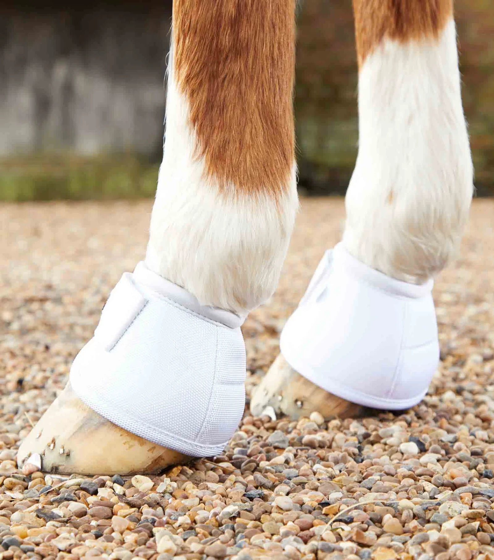 Premier Equine Ballistic No-Turn Over Reach Boots - Nags Essentials