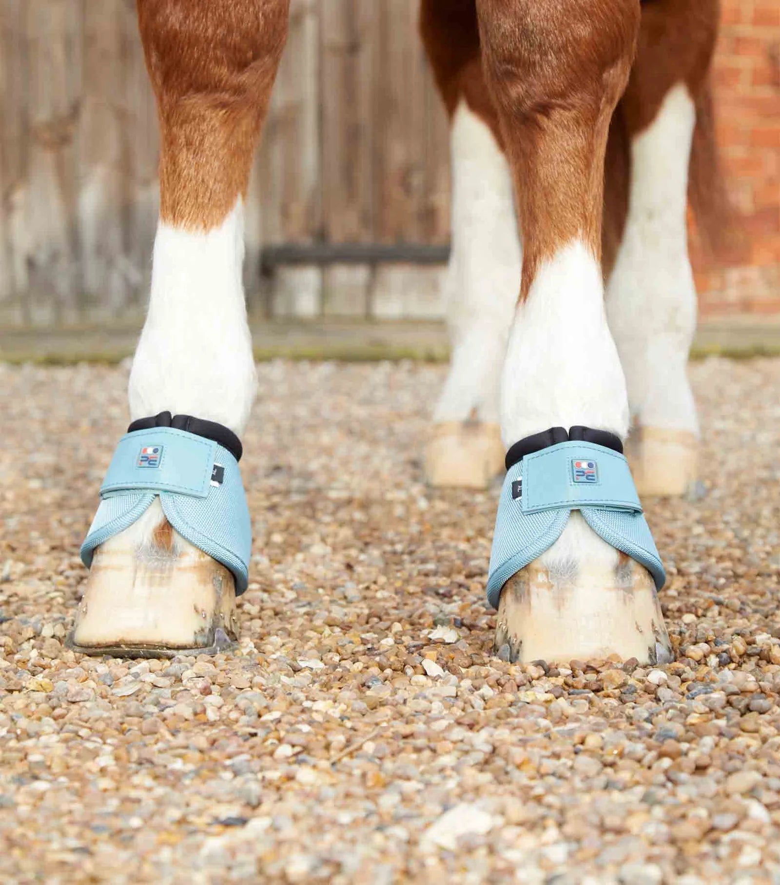 Premier Equine Ballistic No-Turn Over Reach Boots - Nags Essentials