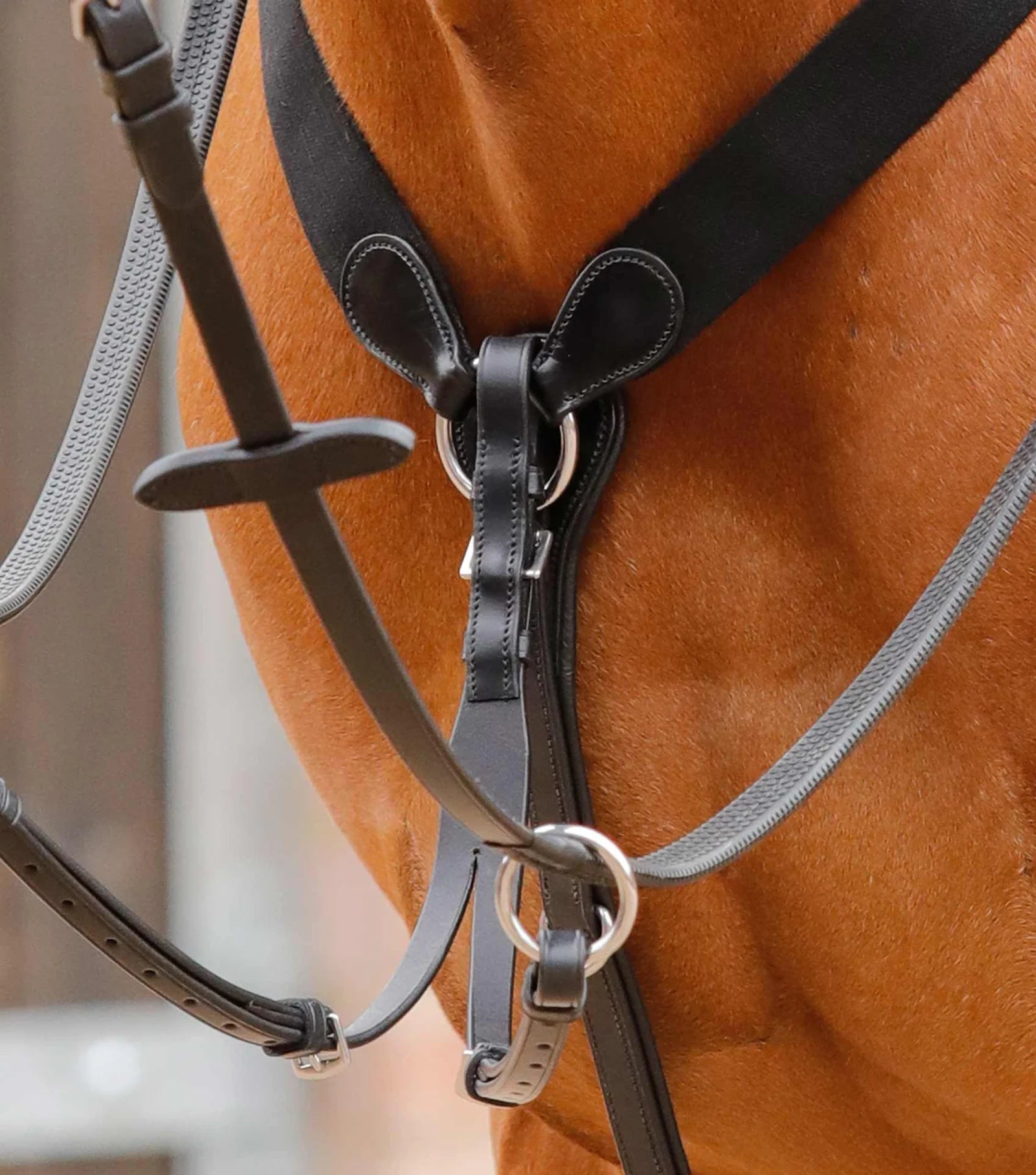 Premier Equine Baressa Elastic Jumping Breastplate - Nags Essentials