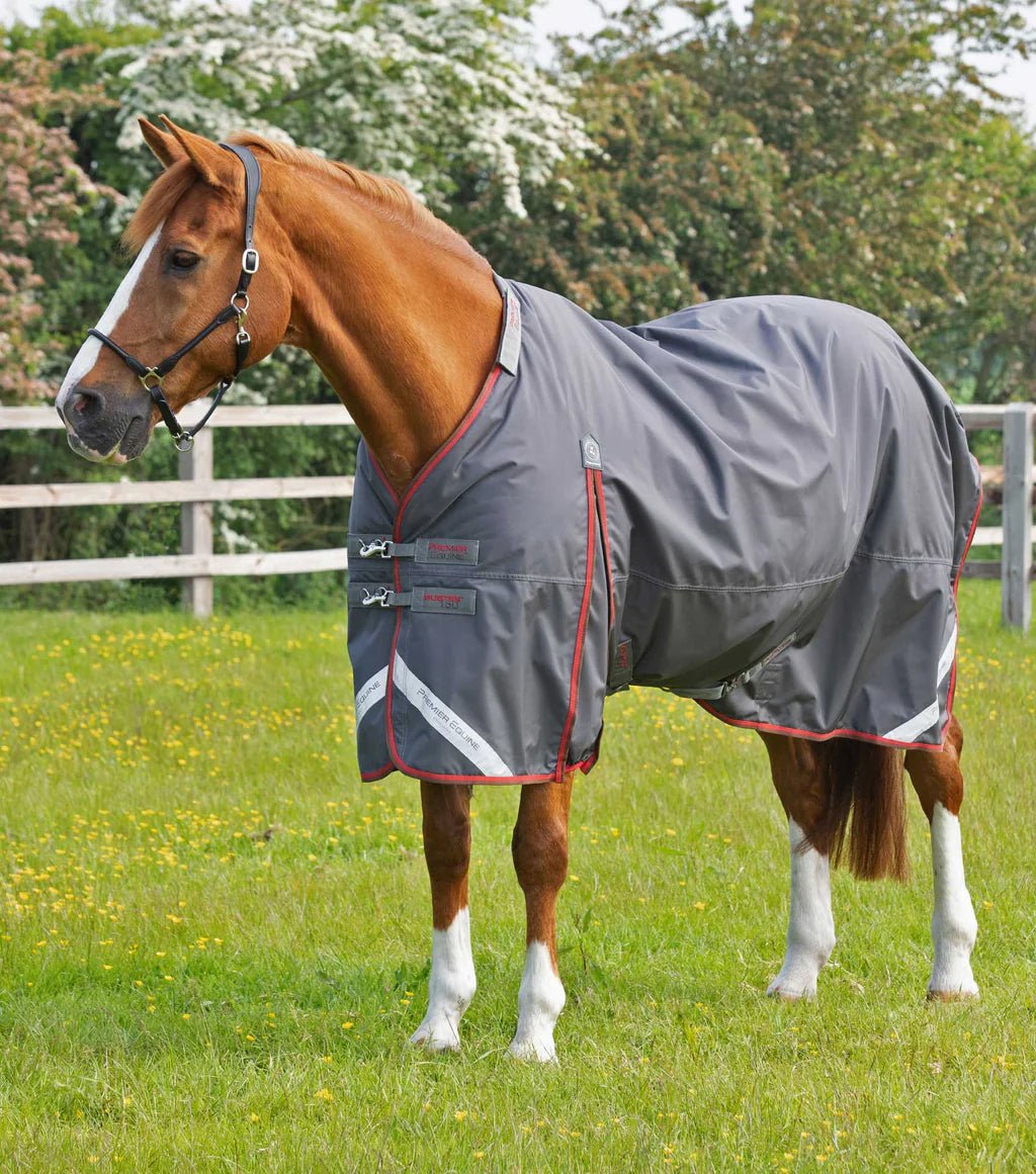 Premier Equine Buster 150g Turnout Rug with Classic Neck Cover - Nags Essentials
