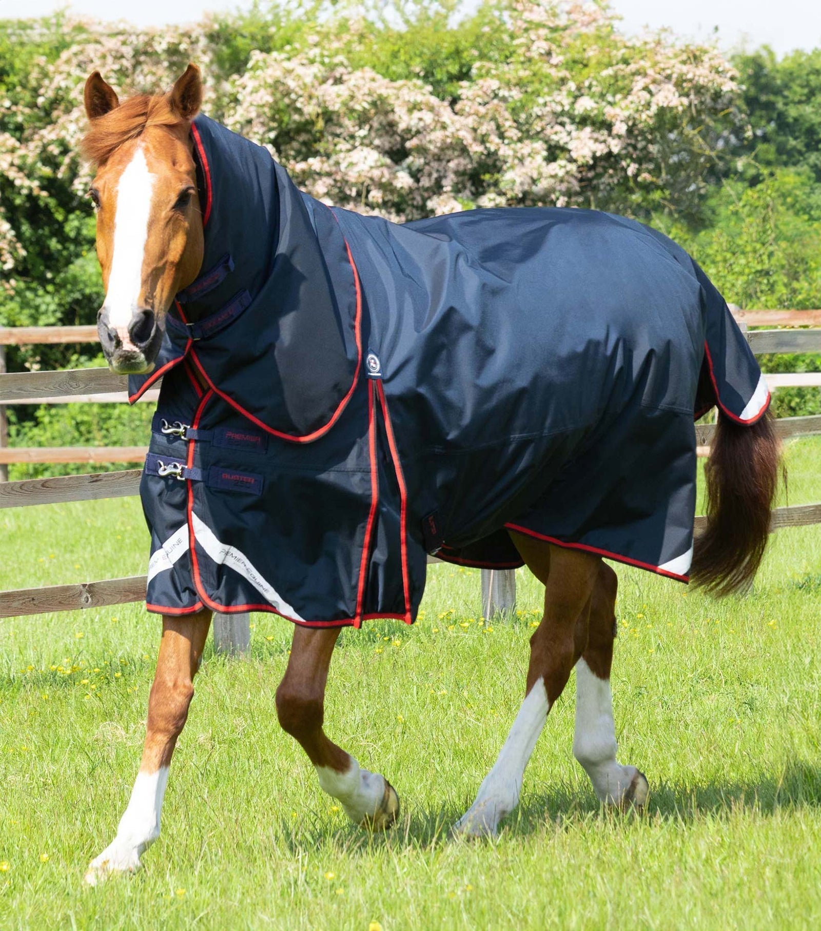Premier Equine Buster 250g Turnout Rug with Classic Neck Cover - Nags Essentials