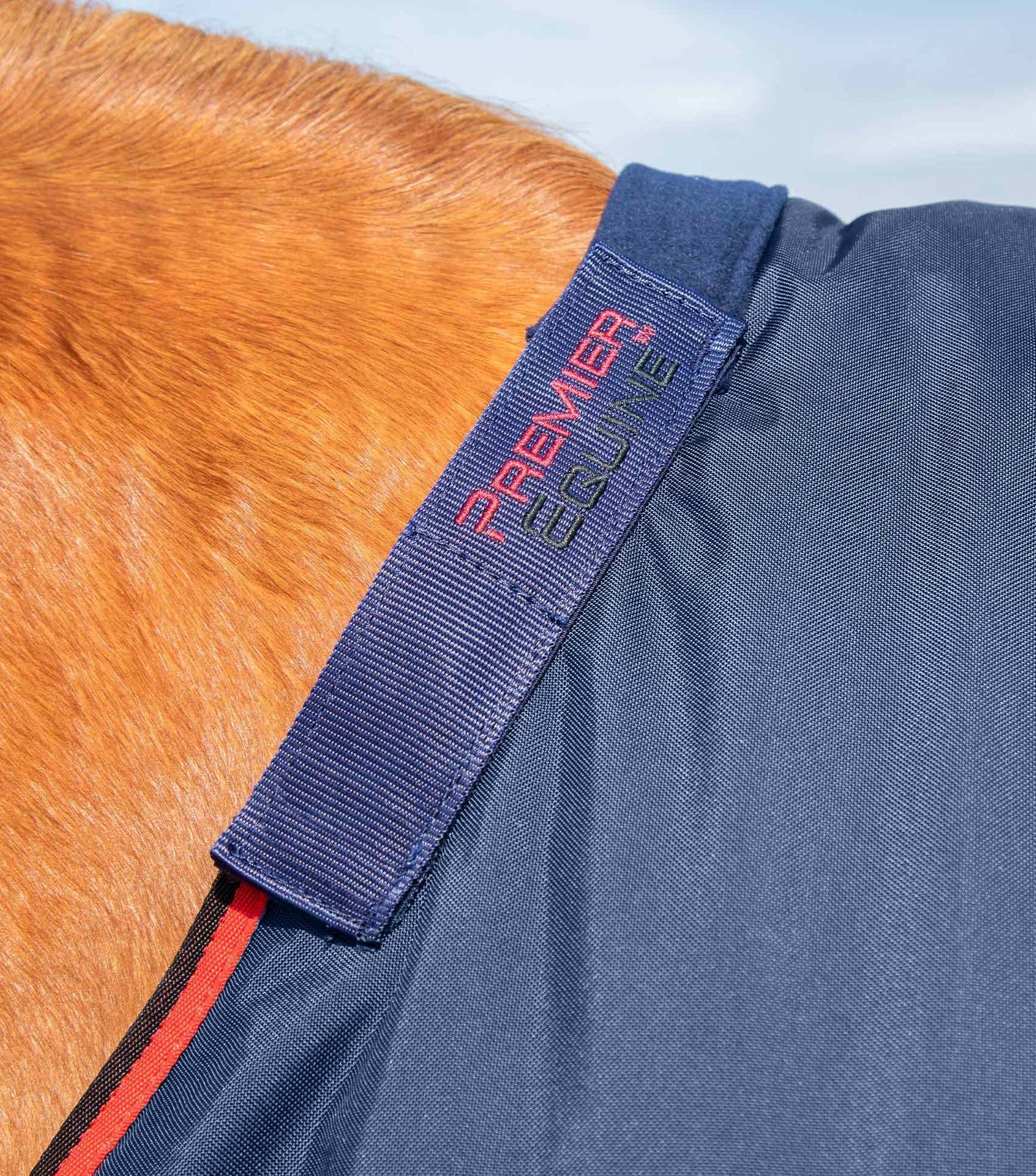Premier Equine Buster 250g Turnout Rug with Classic Neck Cover - Nags Essentials