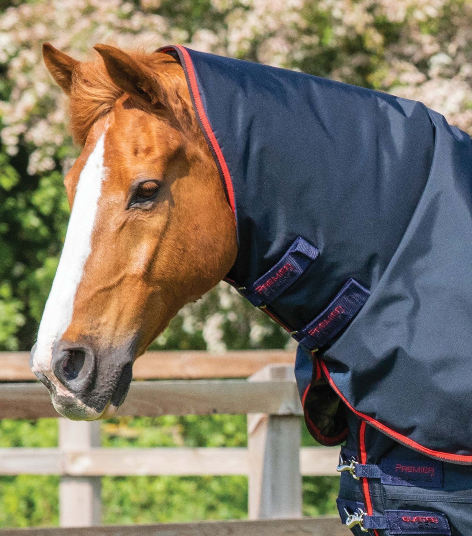 Premier Equine Buster 250g Turnout Rug with Classic Neck Cover - Nags Essentials