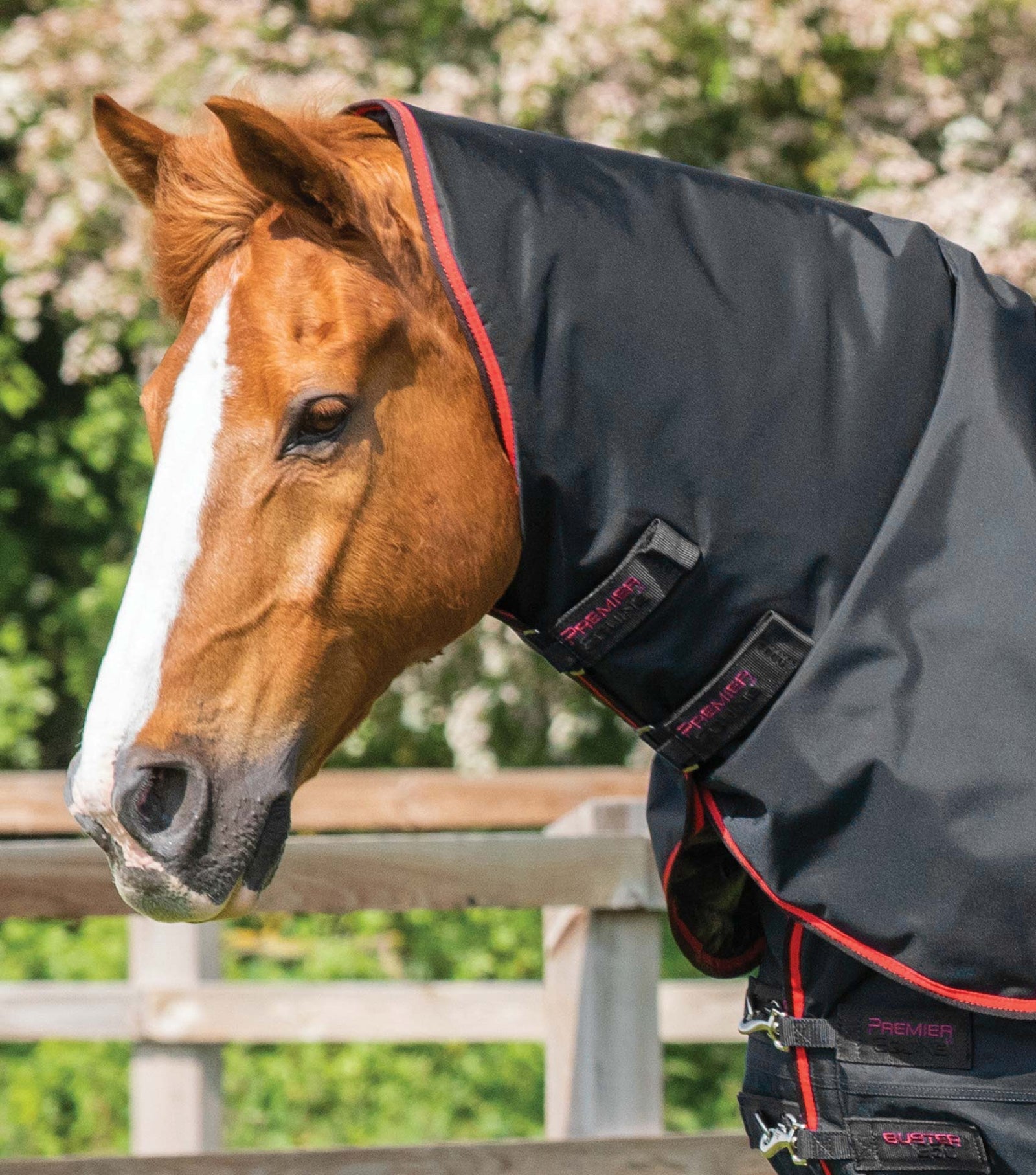 Premier Equine Buster 250g Turnout Rug with Classic Neck Cover - Nags Essentials