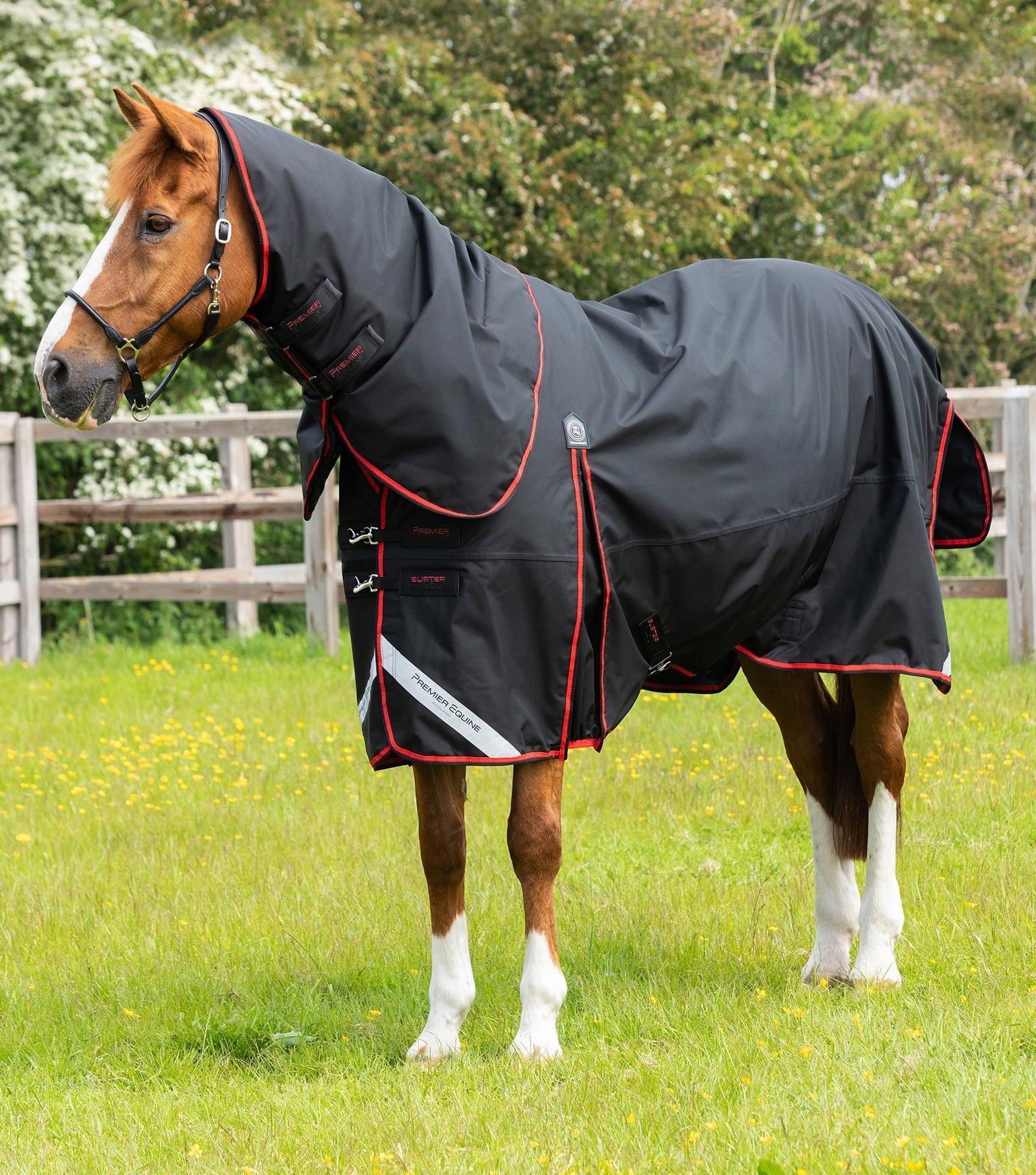 Premier Equine Buster 250g Turnout Rug with Classic Neck Cover - Nags Essentials