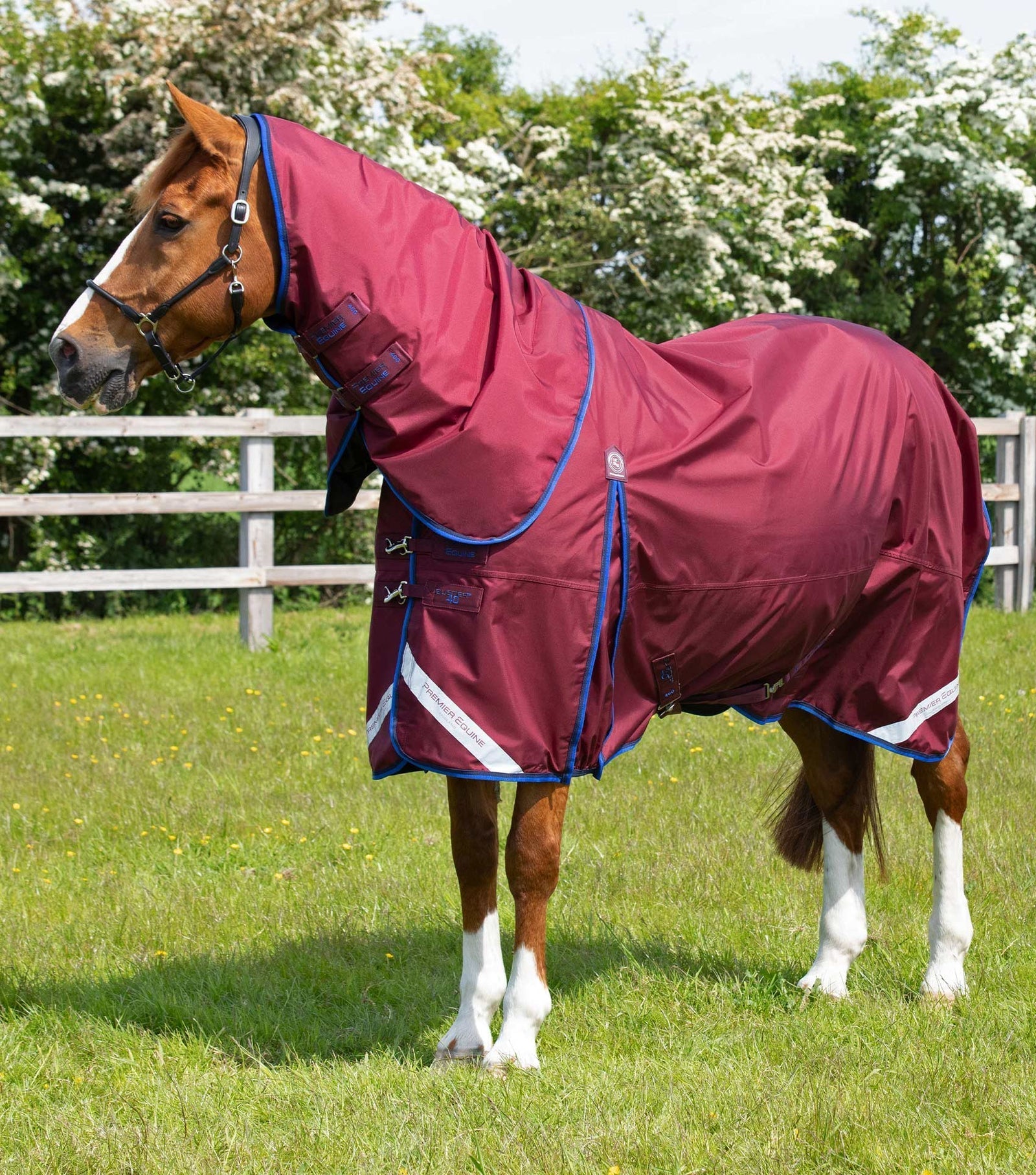 Premier Equine Buster 40g Turnout Rug with Classic Neck Cover - Nags Essentials