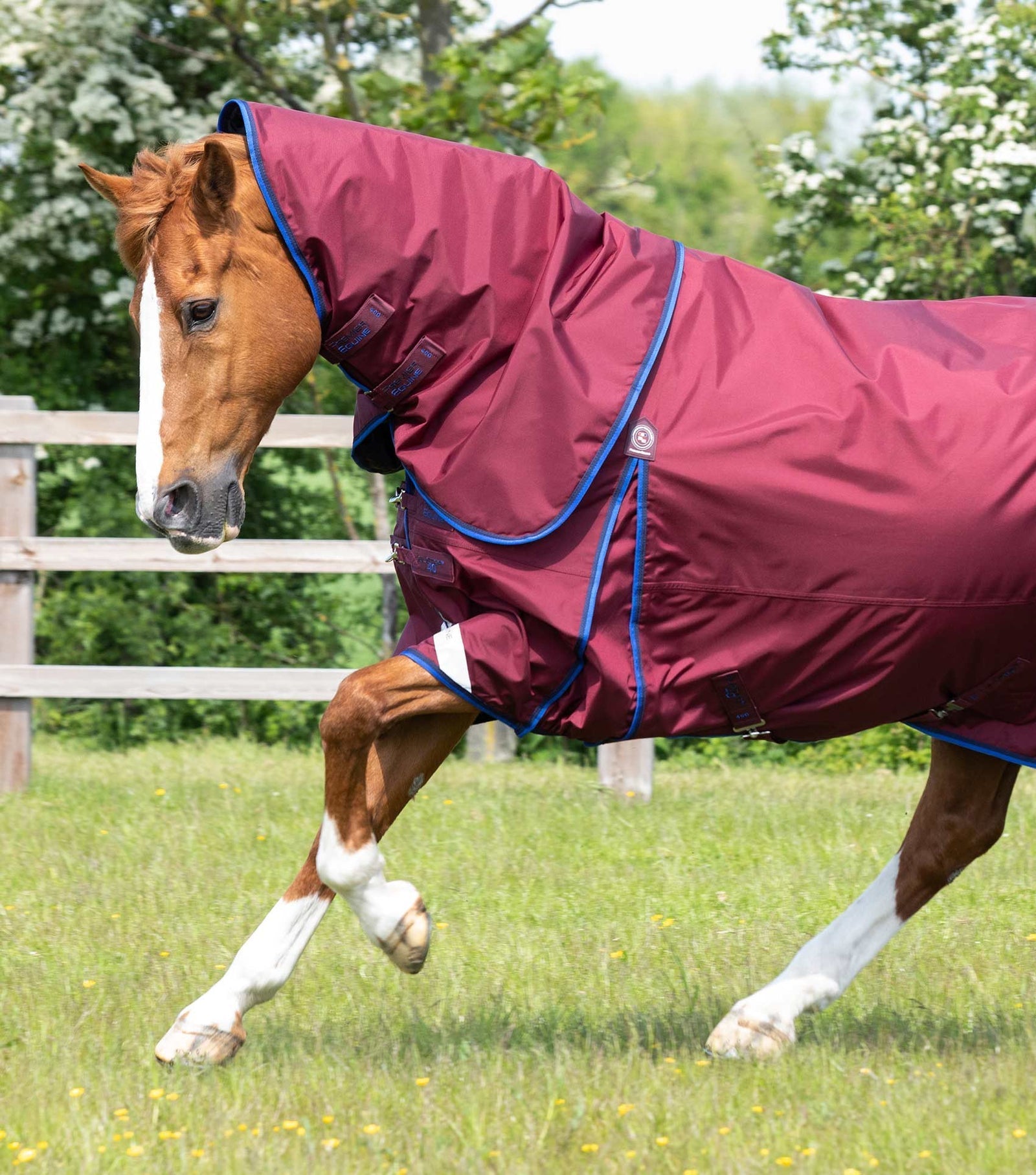 Premier Equine Buster 40g Turnout Rug with Classic Neck Cover - Nags Essentials