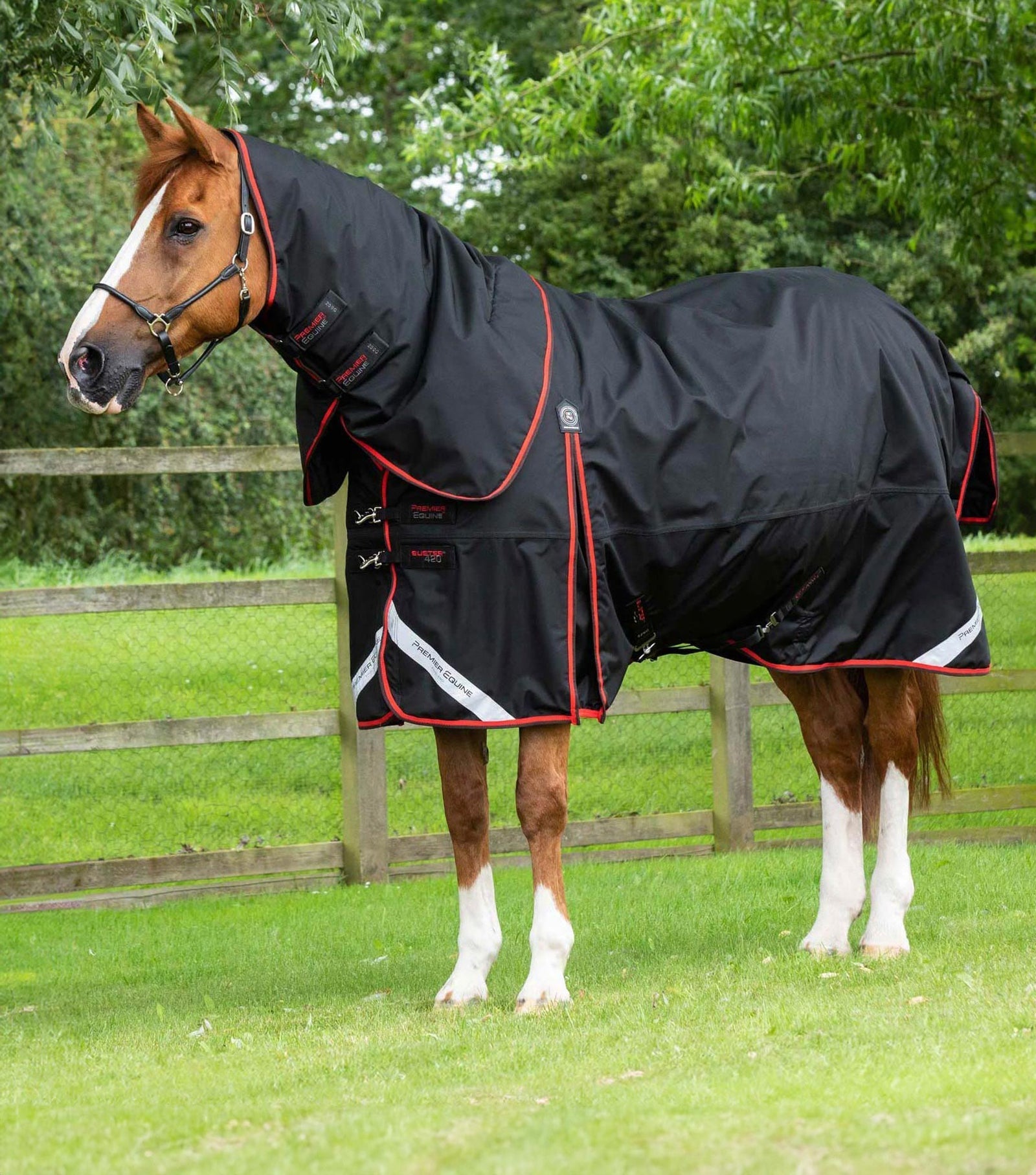Premier Equine Buster 420g Turnout Rug with Classic Neck Cover - Nags Essentials