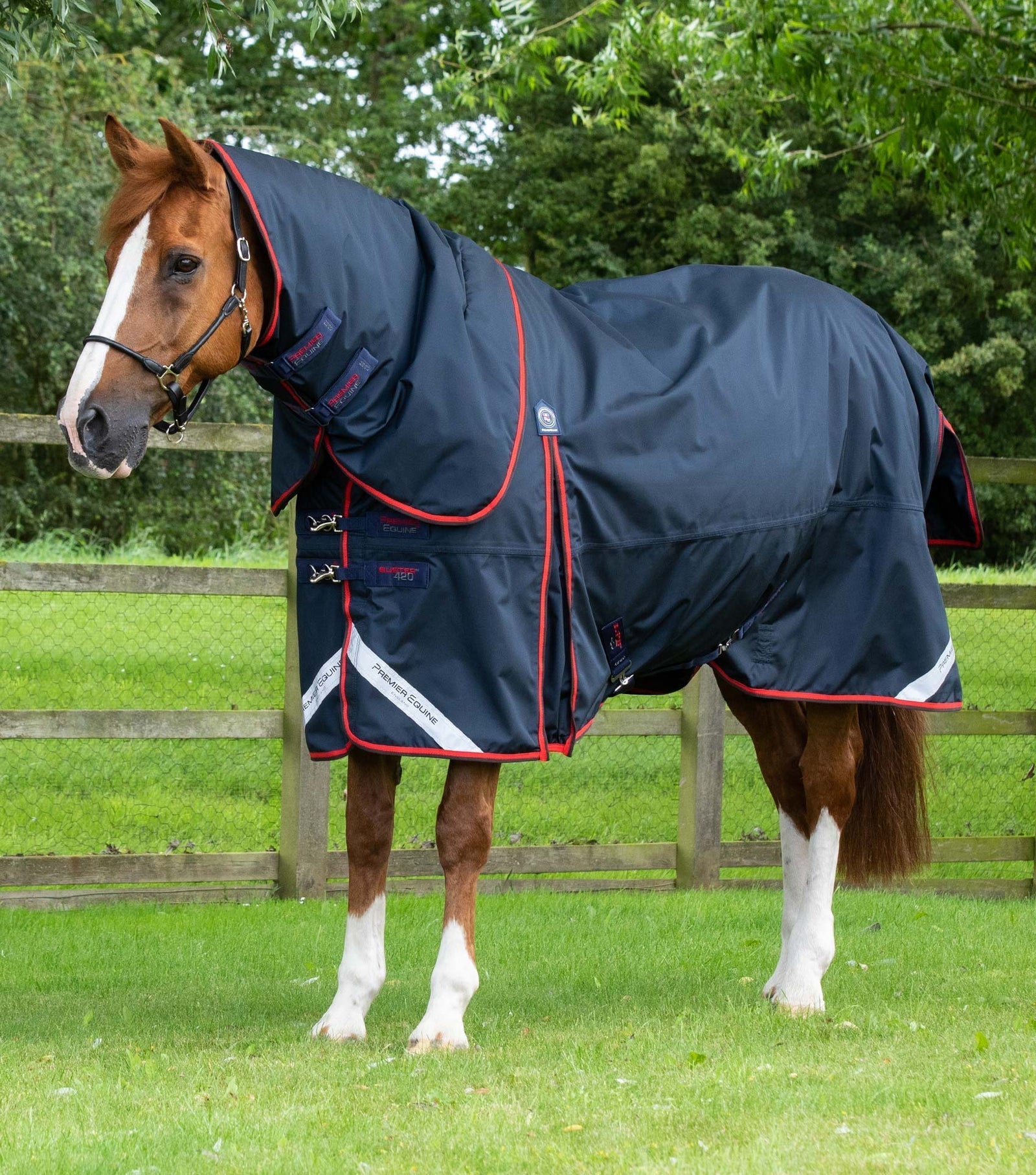 Premier Equine Buster 420g Turnout Rug with Classic Neck Cover - Nags Essentials