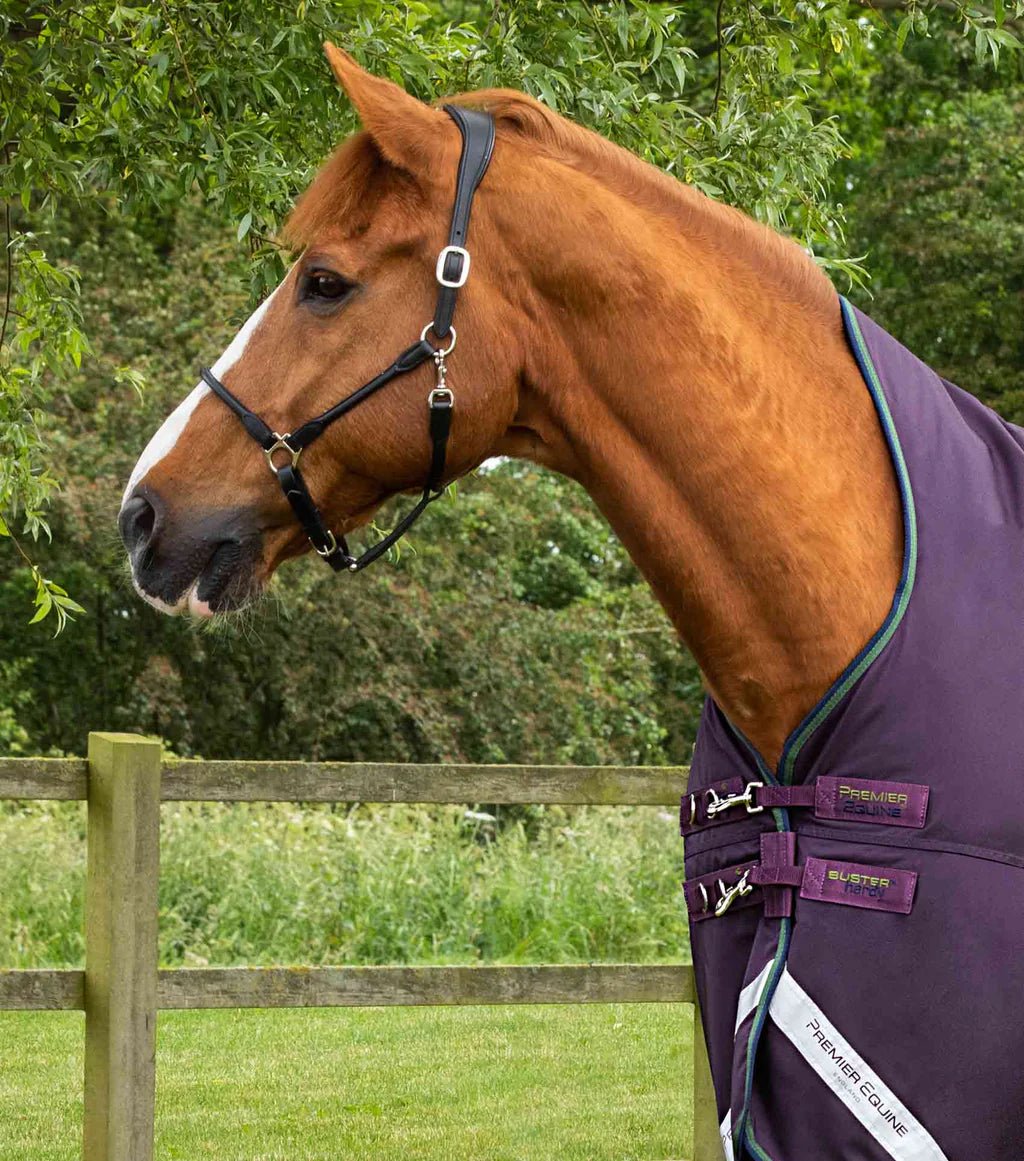 Premier Equine Buster Hardy 100g Half Neck Turnout Rug - Nags Essentials