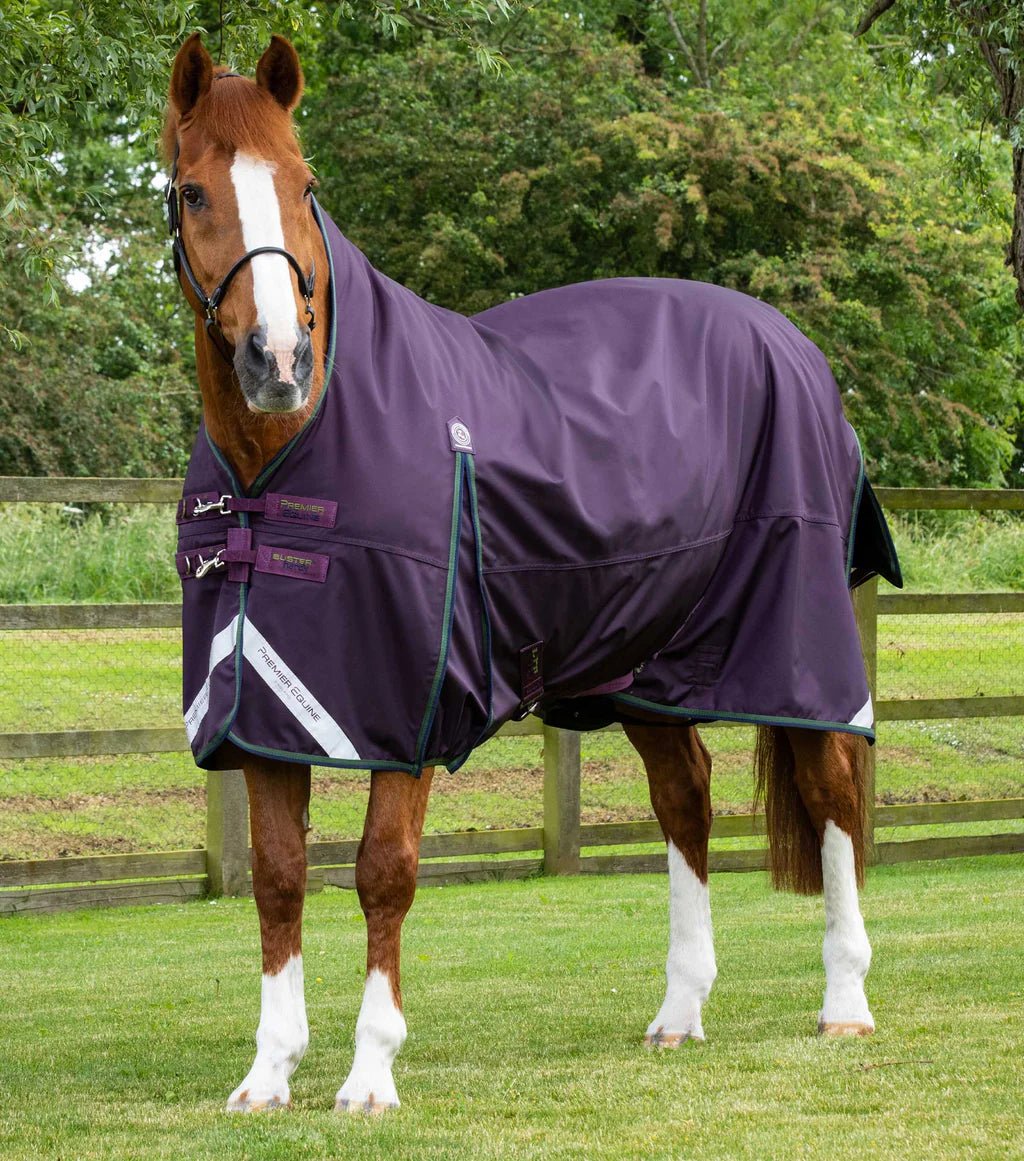 Premier Equine Buster Hardy 100g Half Neck Turnout Rug - Nags Essentials