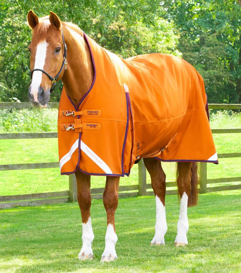 Premier Equine Buster Hardy 200g Half Neck Turnout Rug - Nags Essentials