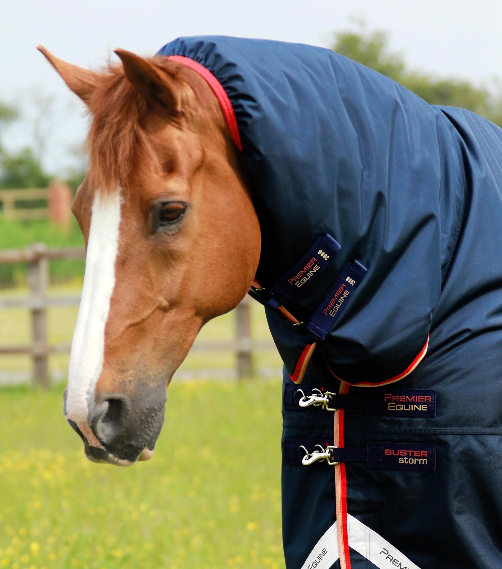 Premier Equine Buster Storm 200g Combo Turnout Rug with Snug-Fit Neck - Nags Essentials