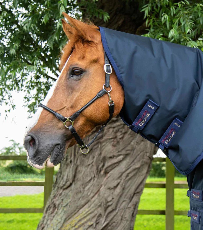 Premier Equine Buster Storm 220g Combo Turnout Rug with Classic Neck - Nags Essentials