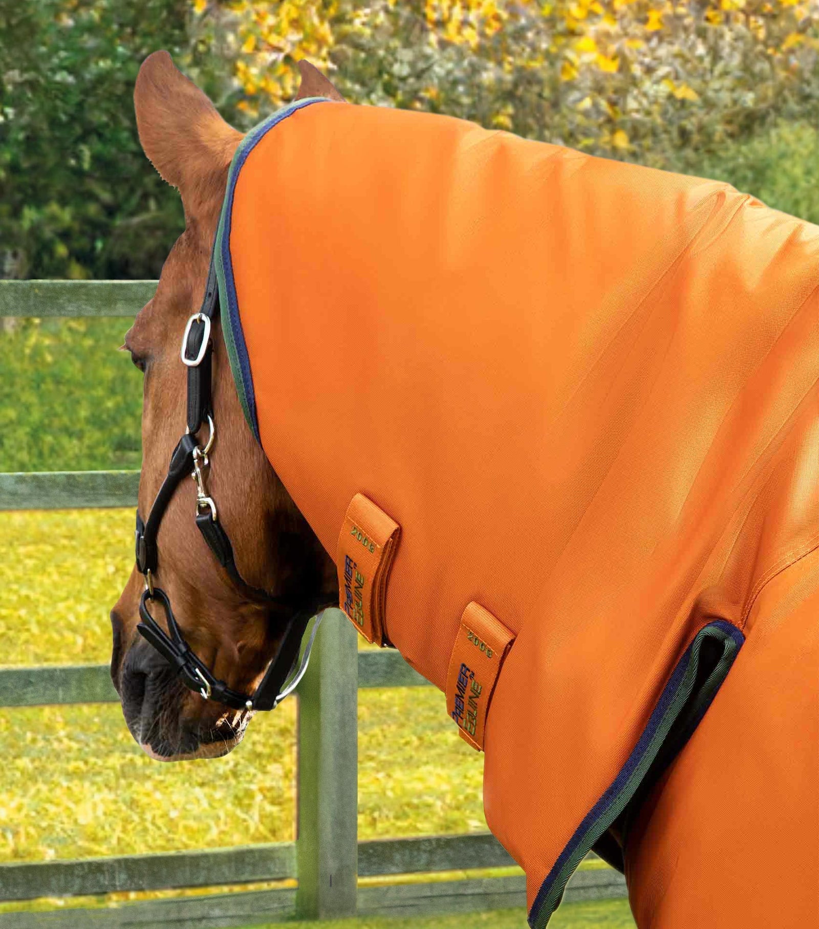 Premier Equine Buster Storm 400g Combo Turnout Rug with Classic Neck - Nags Essentials