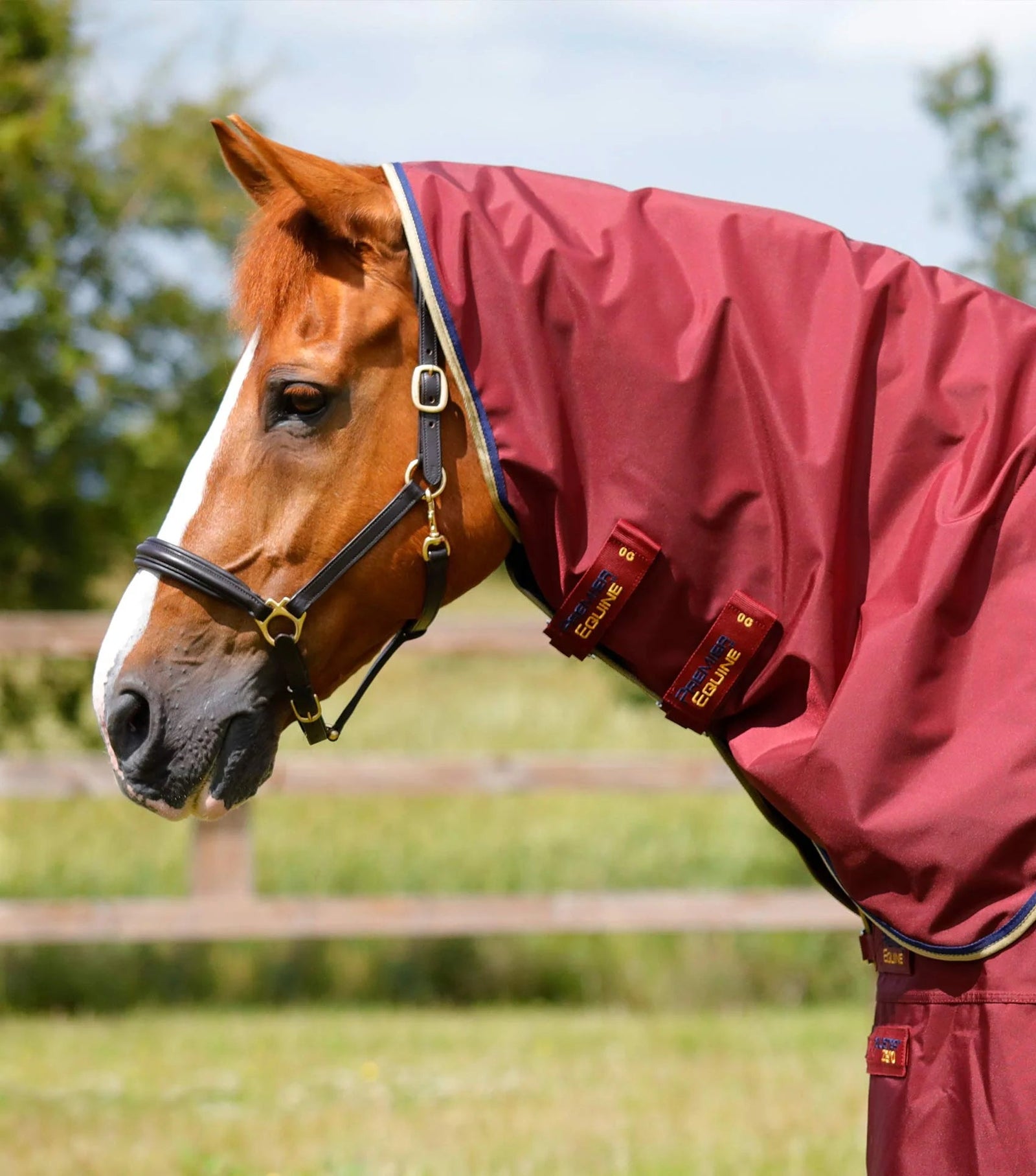 Premier Equine Buster Zero Turnout Rug with Classic Neck Cover - Nags Essentials