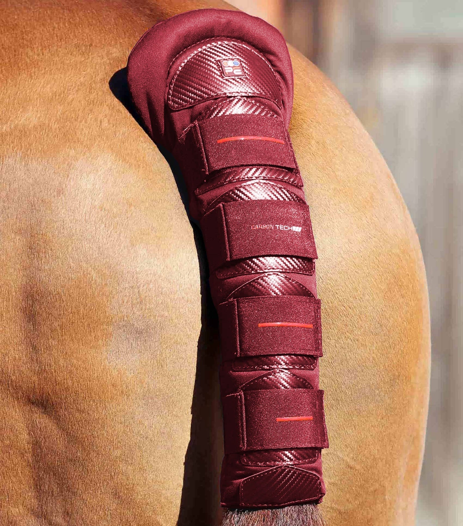 Premier Equine Carbon Tech Anti-Slip Tail Guard - Nags Essentials