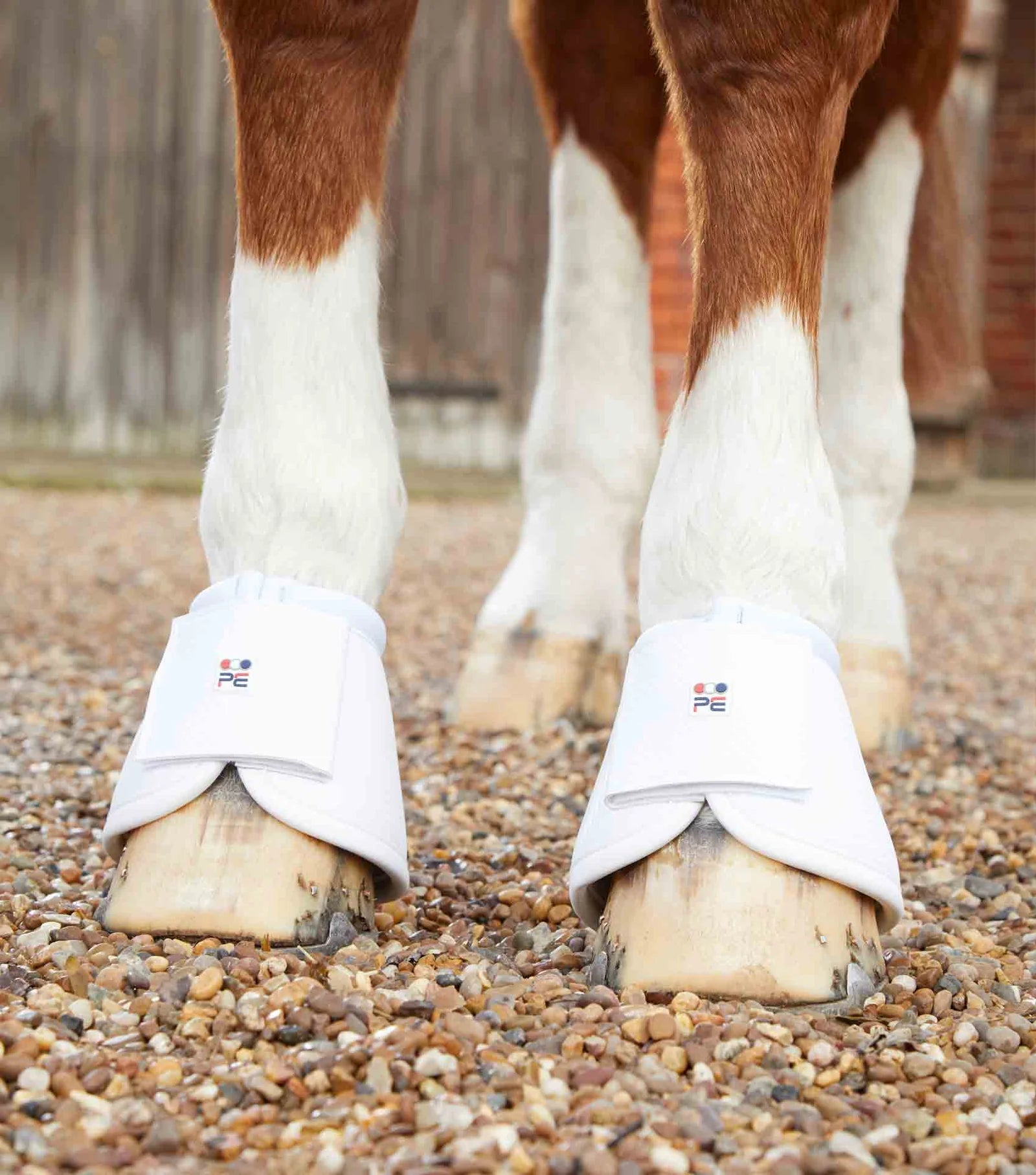 Premier Equine Carbon Wrap Over Reach Boots - Nags Essentials