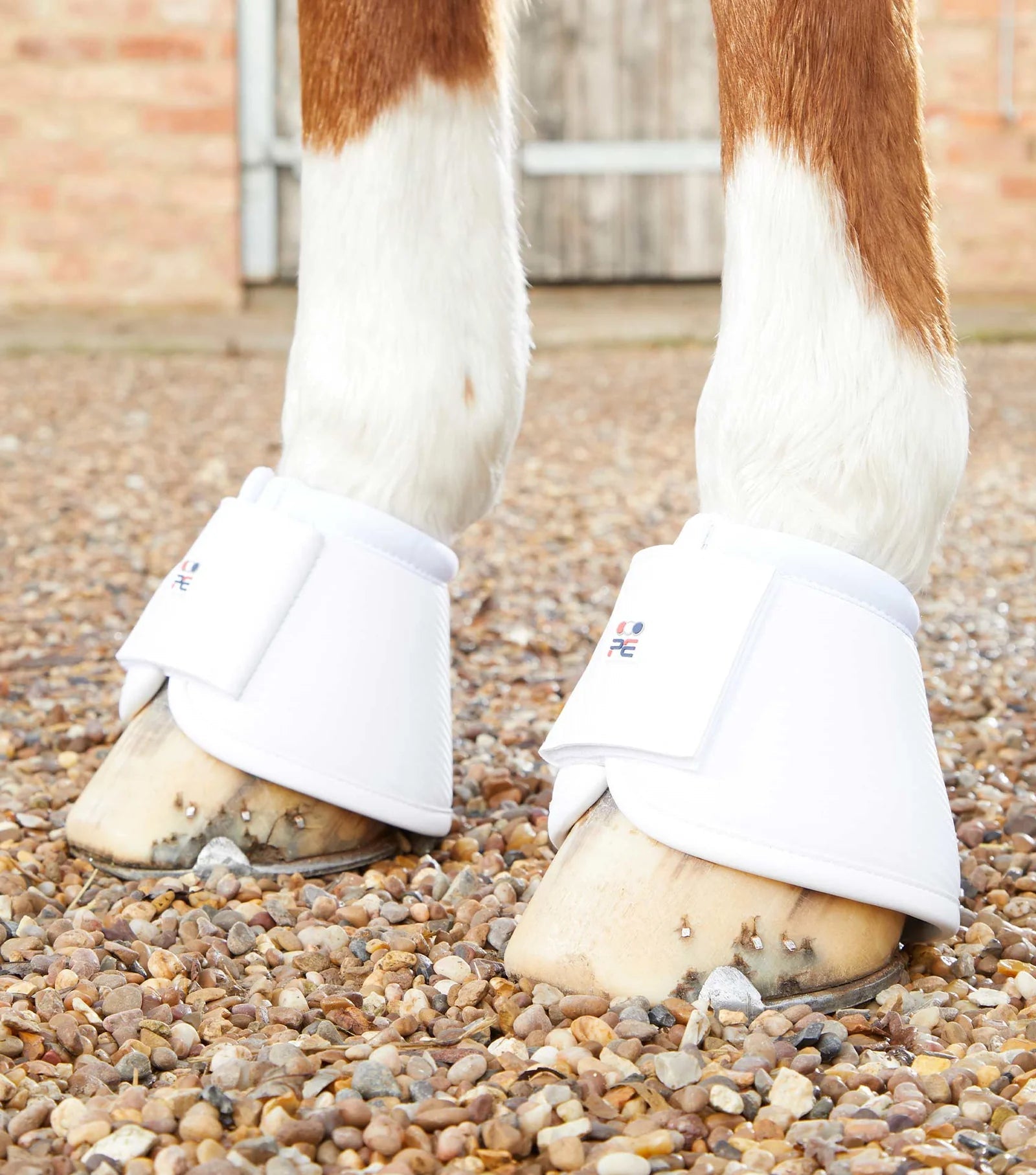 Premier Equine Carbon Wrap Over Reach Boots - Nags Essentials