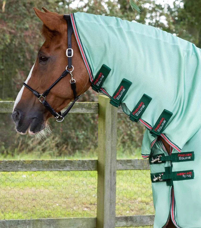 Premier Equine Combo Mesh Air Fly Rug with Surcingles - Nags Essentials