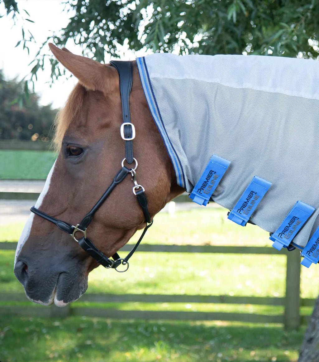 Premier Equine Combo Mesh Air Fly Rug with Surcingles - Nags Essentials