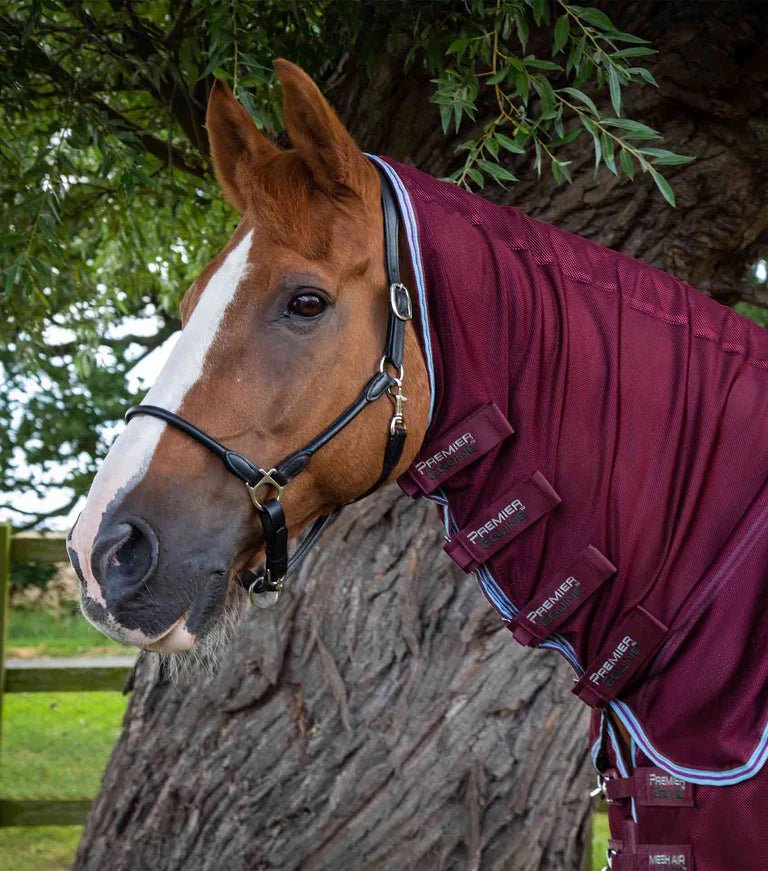 Premier Equine Combo Mesh Air Fly Rug with Surcingles - Wine - Nags Essentials