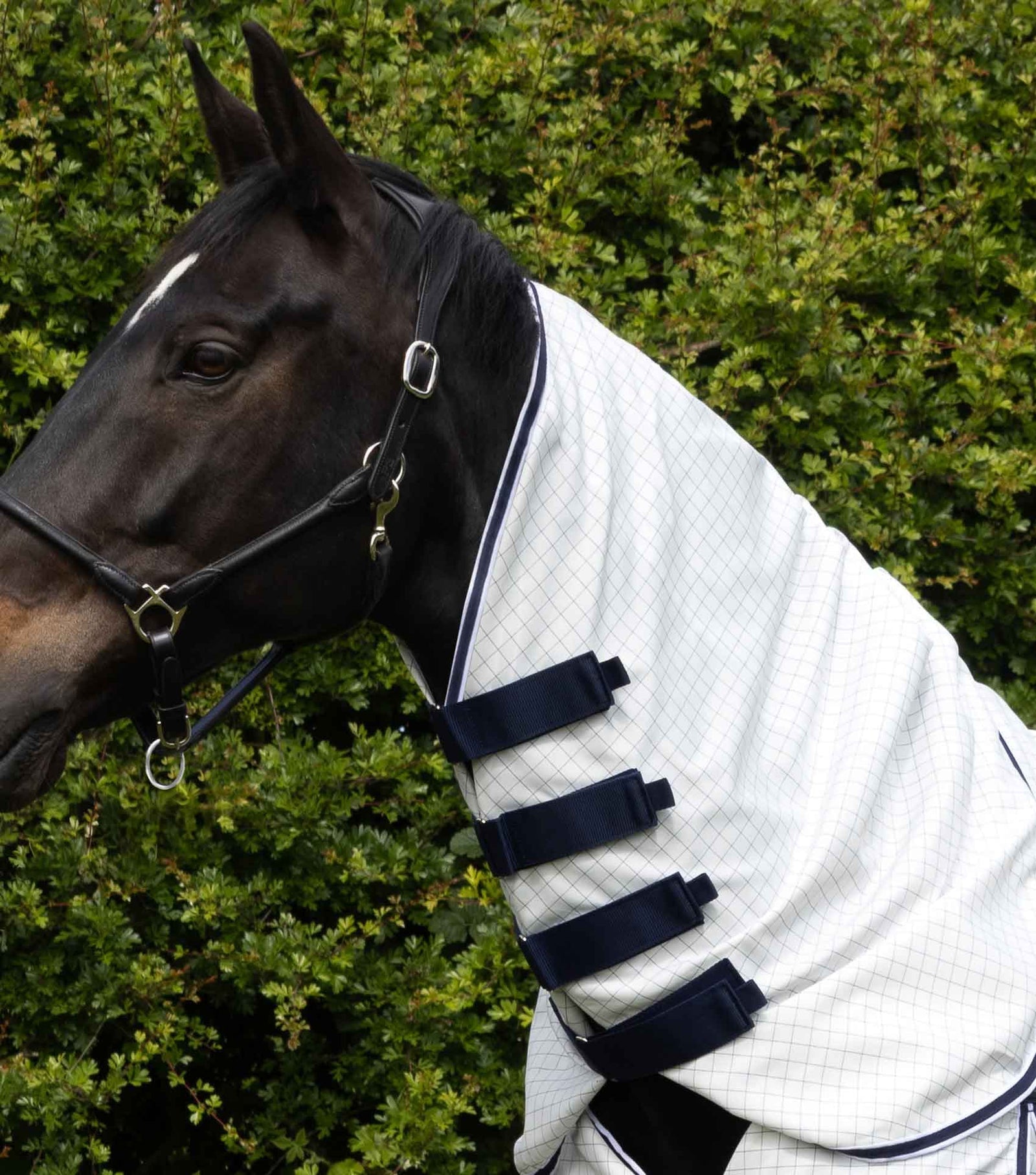 Premier Equine Cotone Combo Stable Sheet - White - Navy Check - Nags Essentials