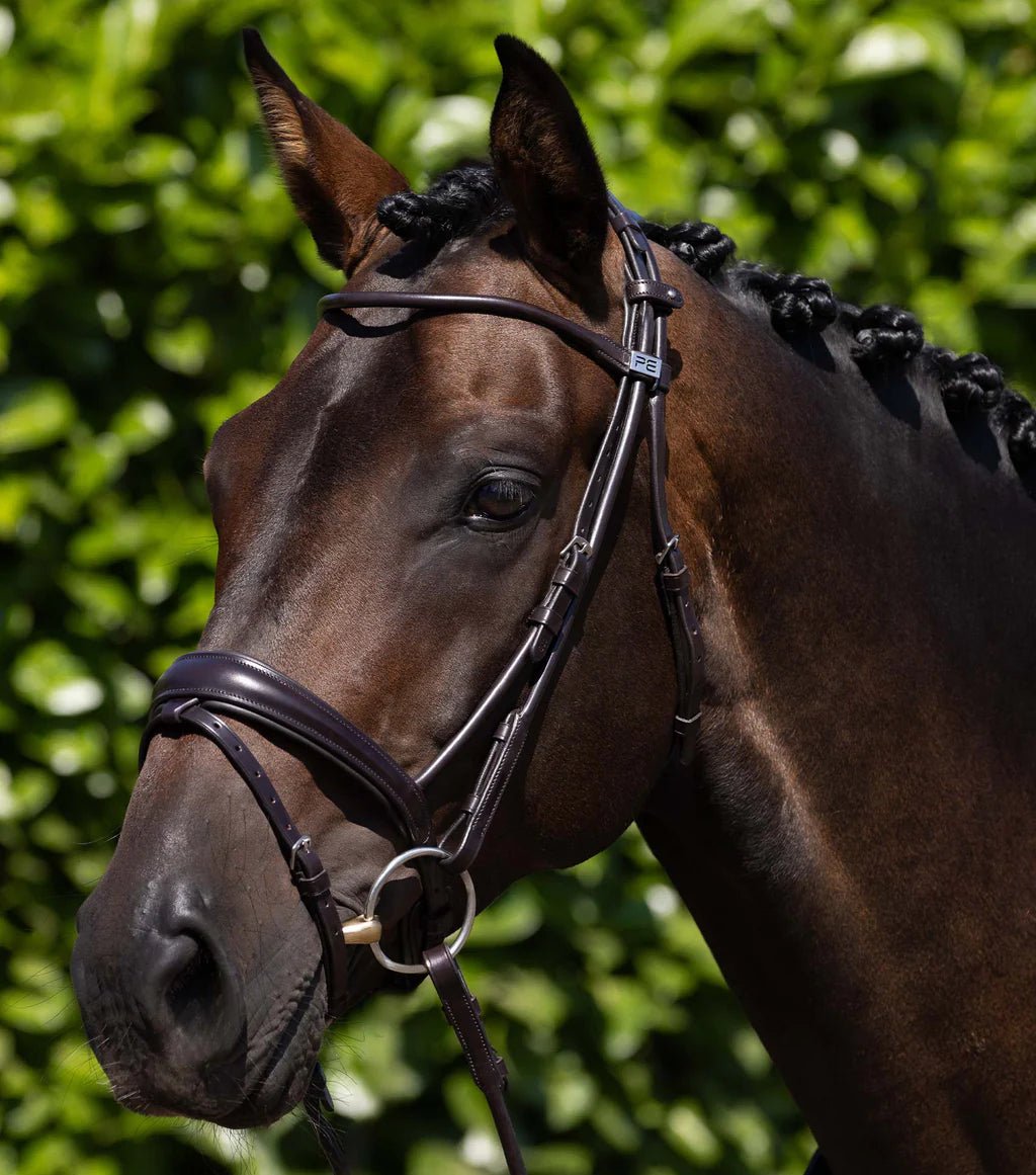 Premier Equine Finetti Rolled Leather Snaffle Bridle - Nags Essentials