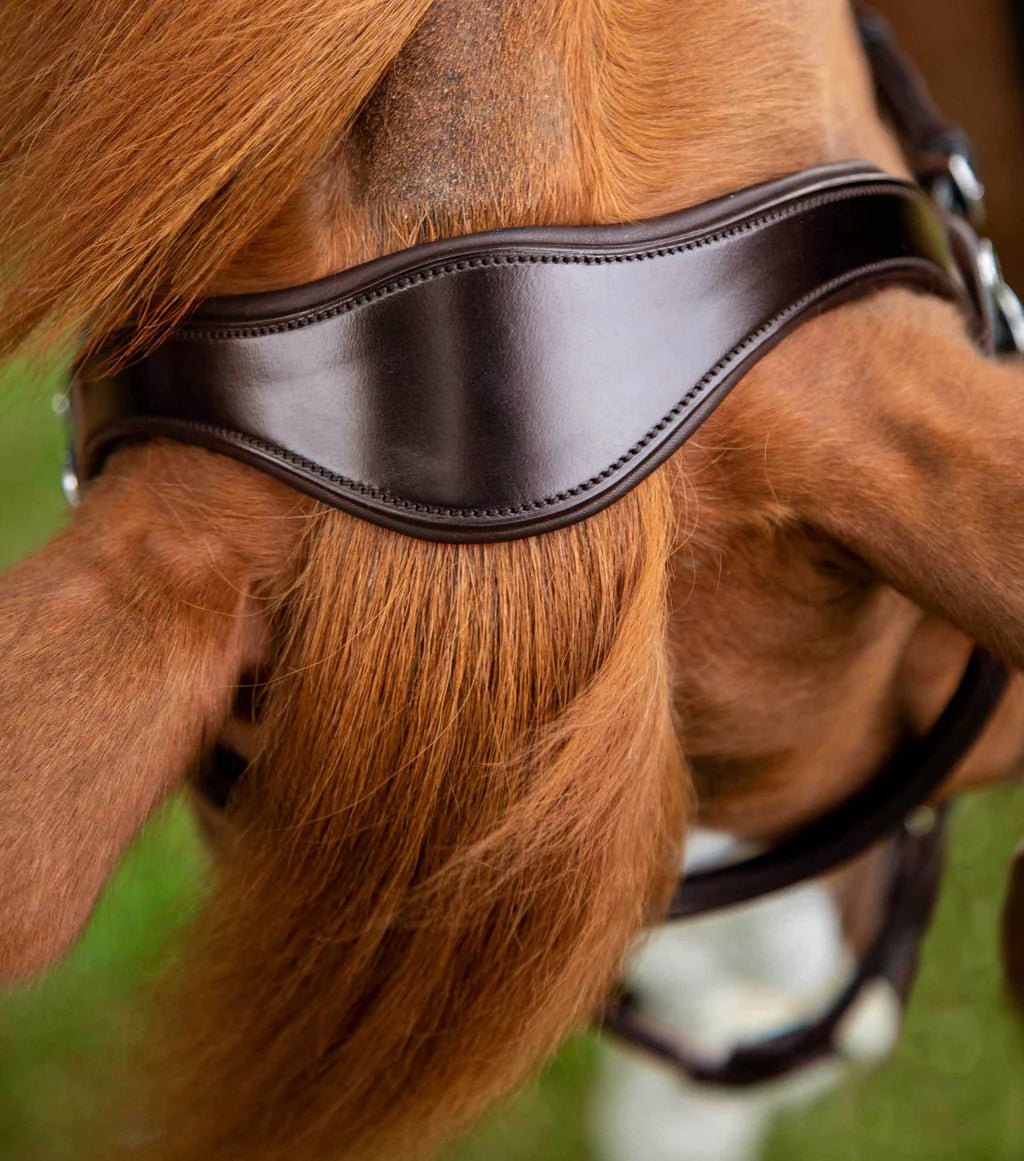 Premier Equine Glorioso Grackle Bridle Black - Nags Essentials