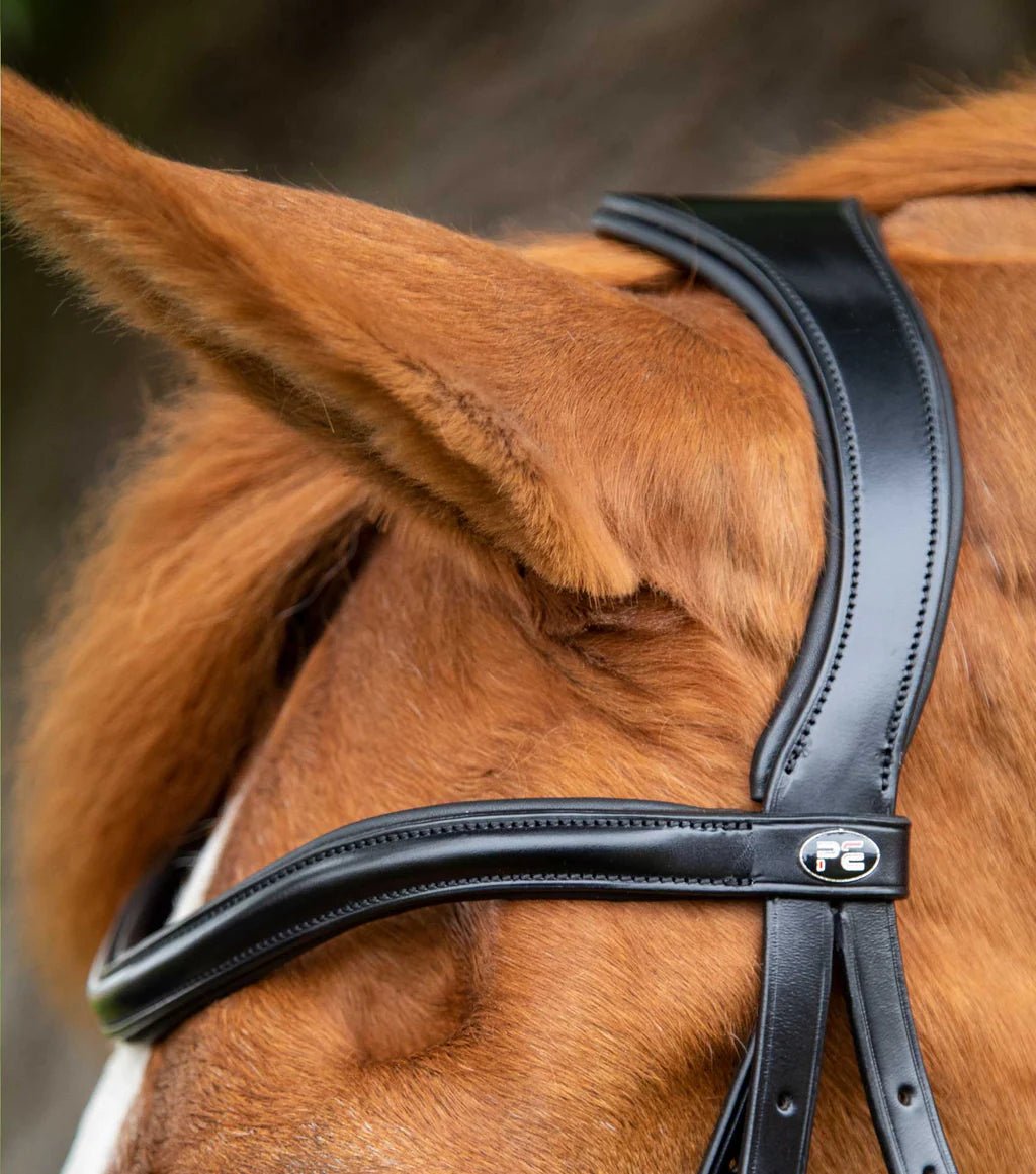 Premier Equine Glorioso Grackle Bridle Black - Nags Essentials