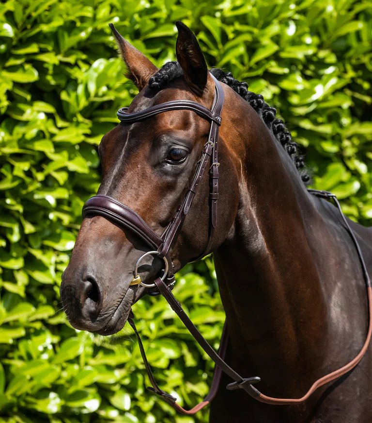 Premier Equine Liscio Plain Shaped Leather Browband - Nags Essentials