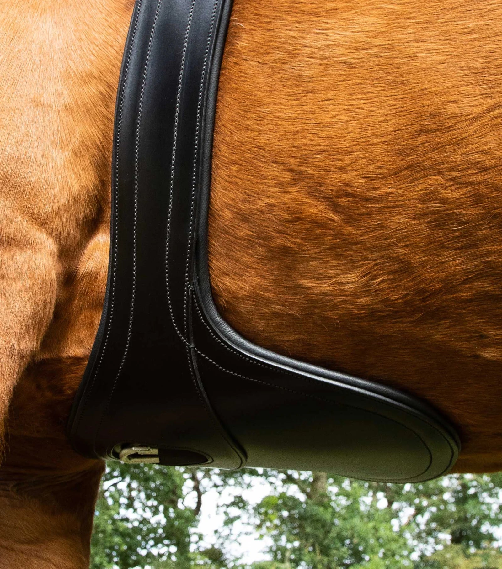 Premier Equine Lizzano Anatomic Leather Stud Girth - Nags Essentials
