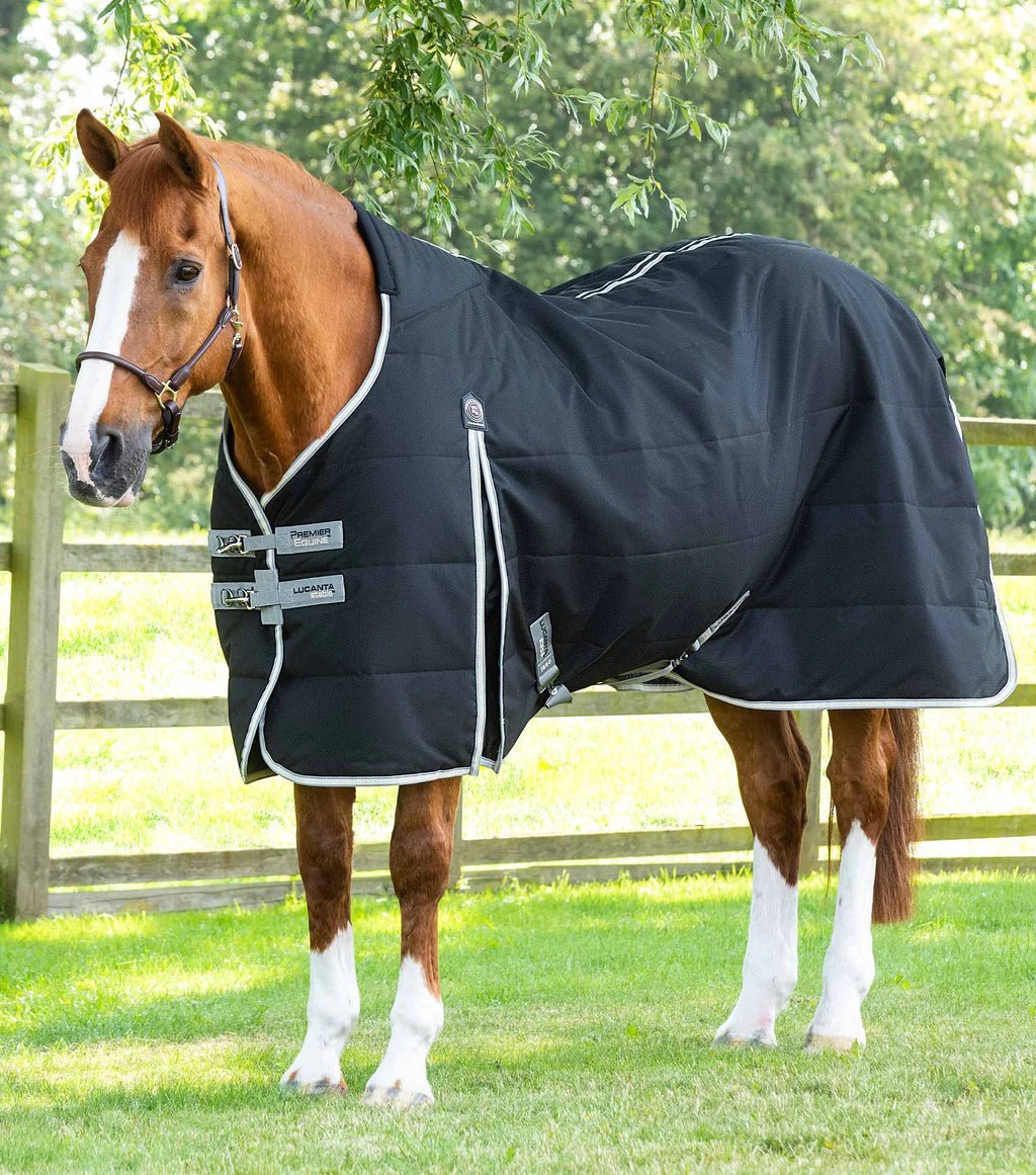 Premier Equine Lucanta Demi 100g Stable Rug - Black - Nags Essentials